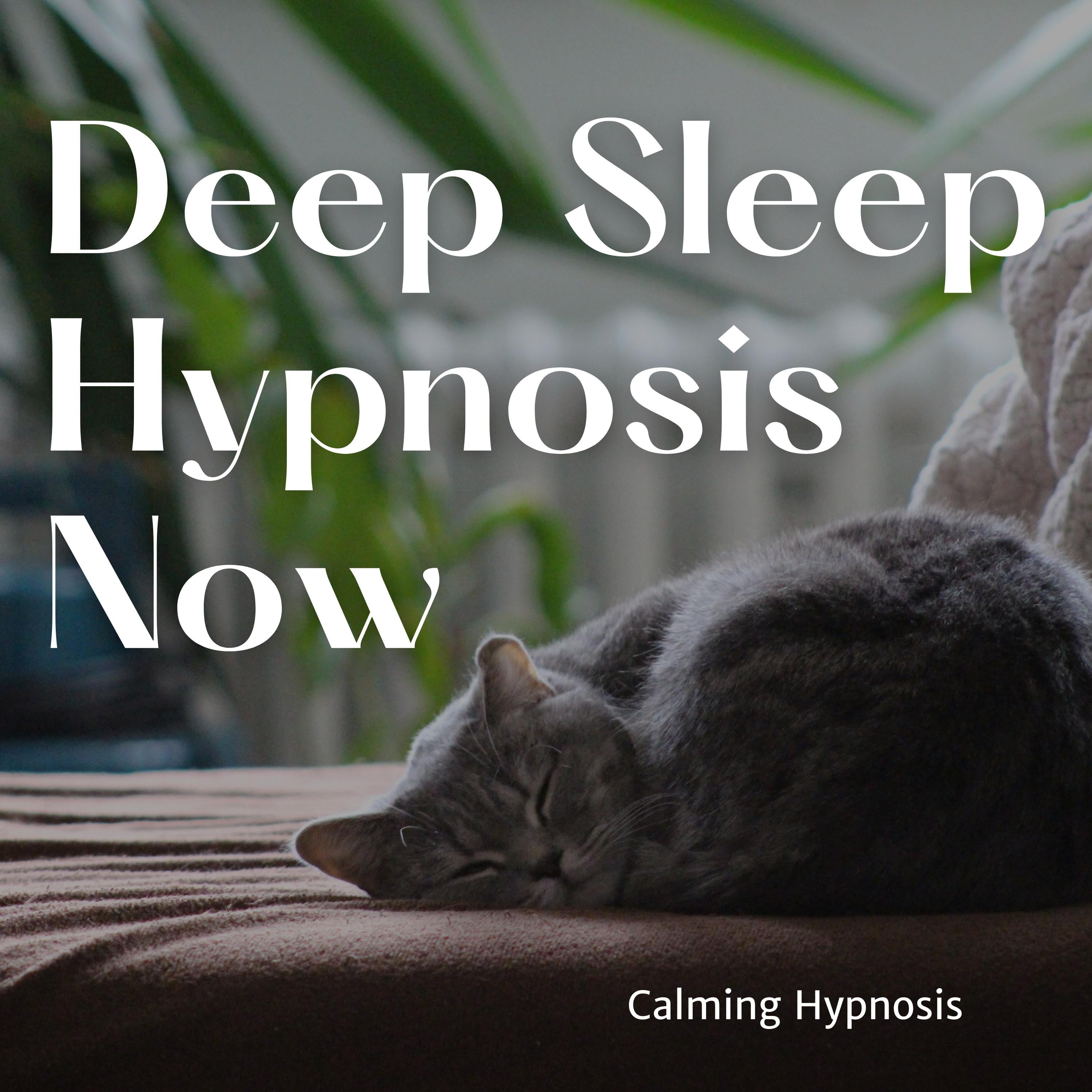 Deep Sleep Hypnosis Now
