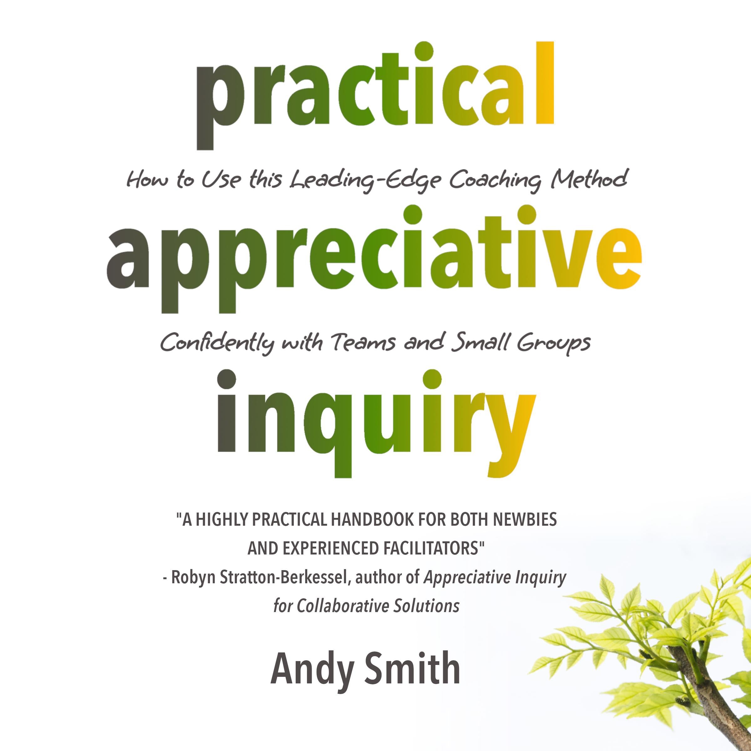 Practical Appreciative Inquiry