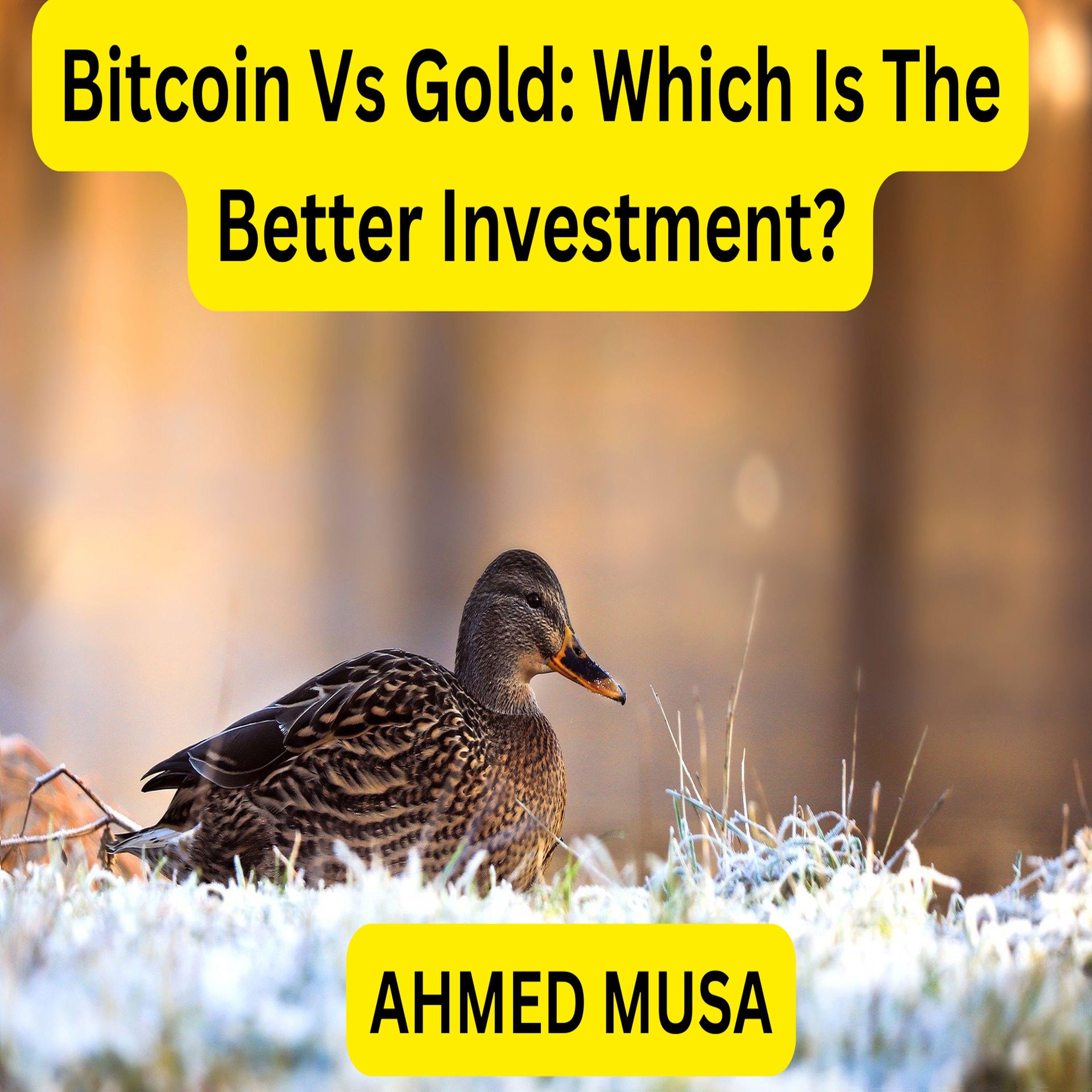 Bitcoin Vs Gold: Which Is The Better Investment?