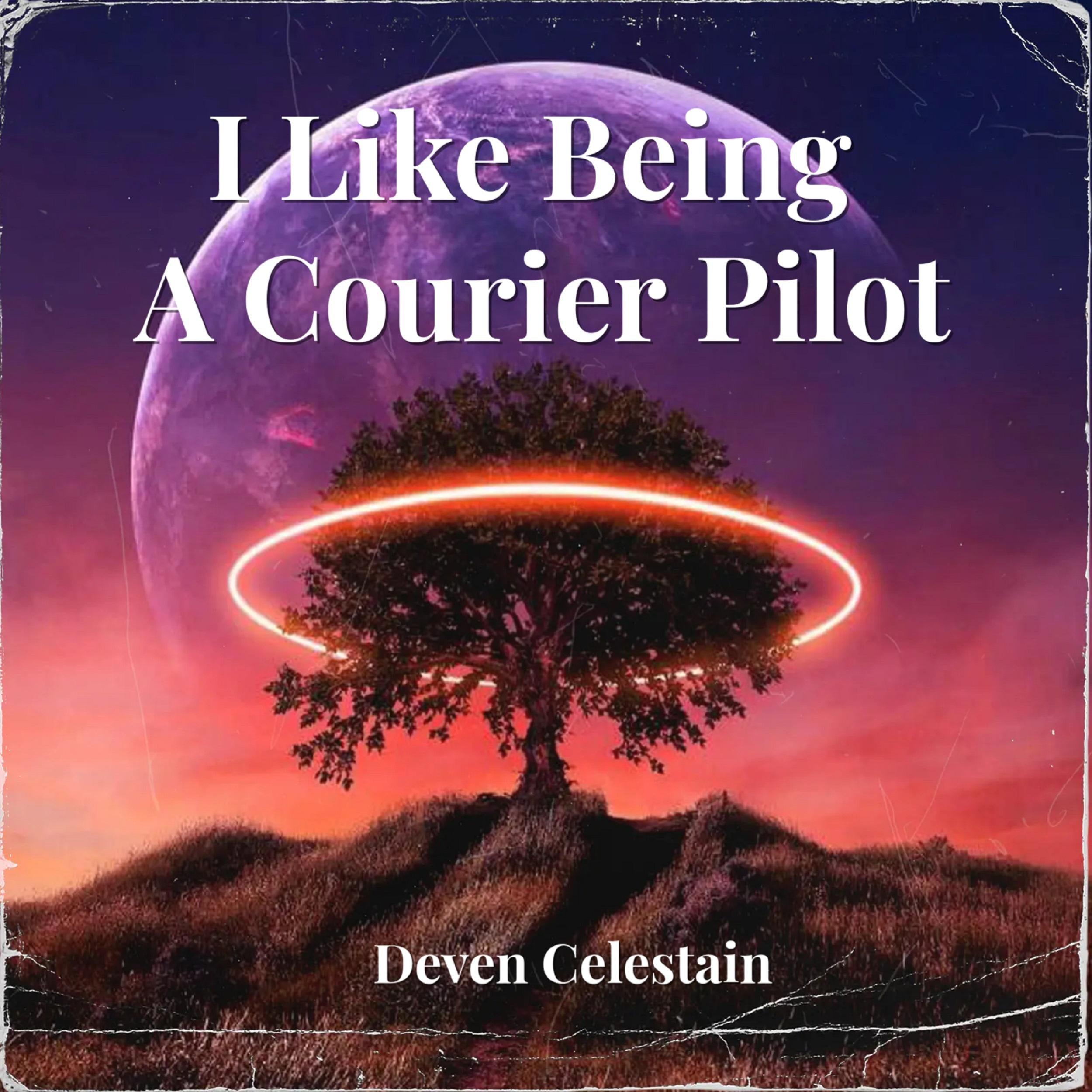 I Like Being A Courier Pilot