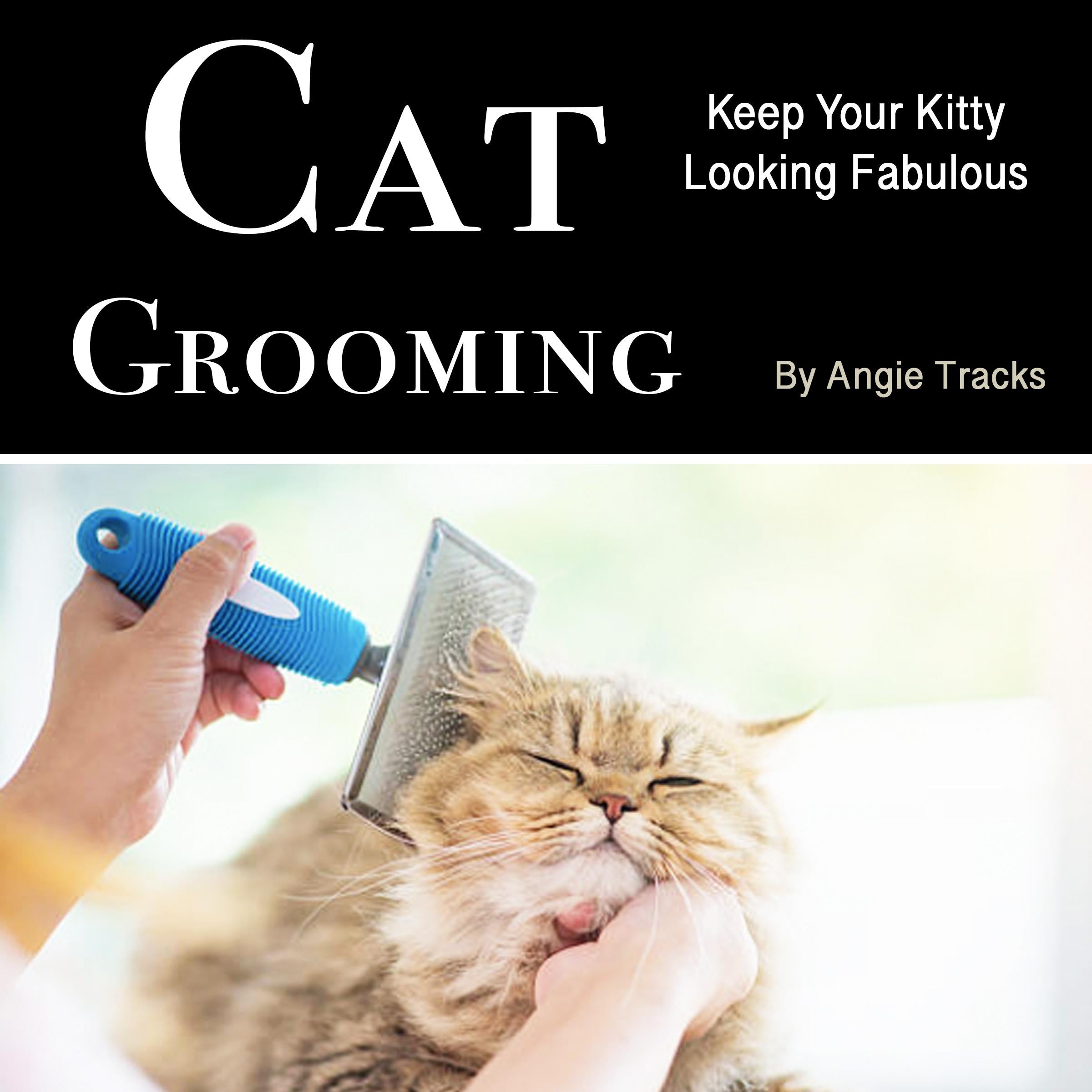 Cat Grooming