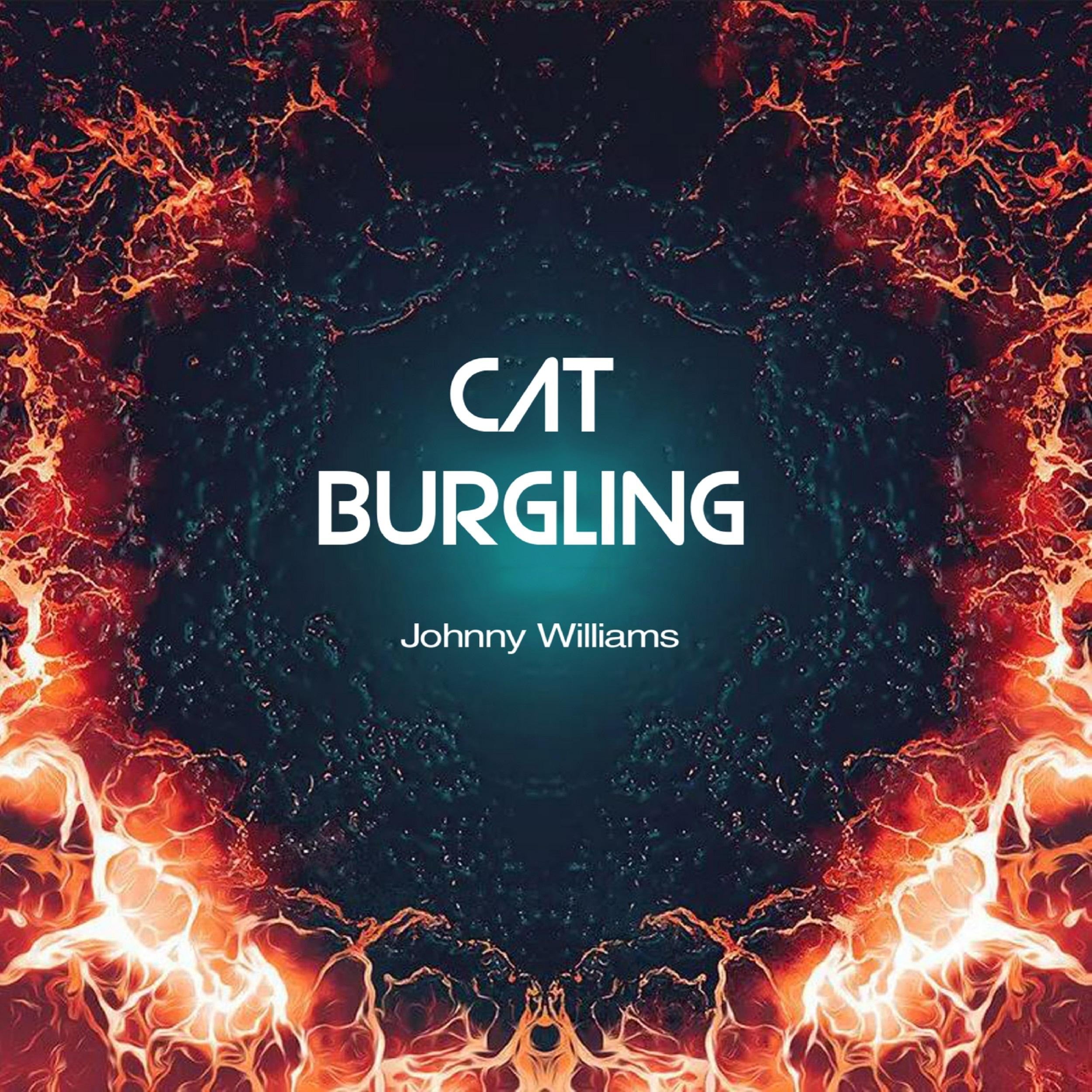 Cat Burgling