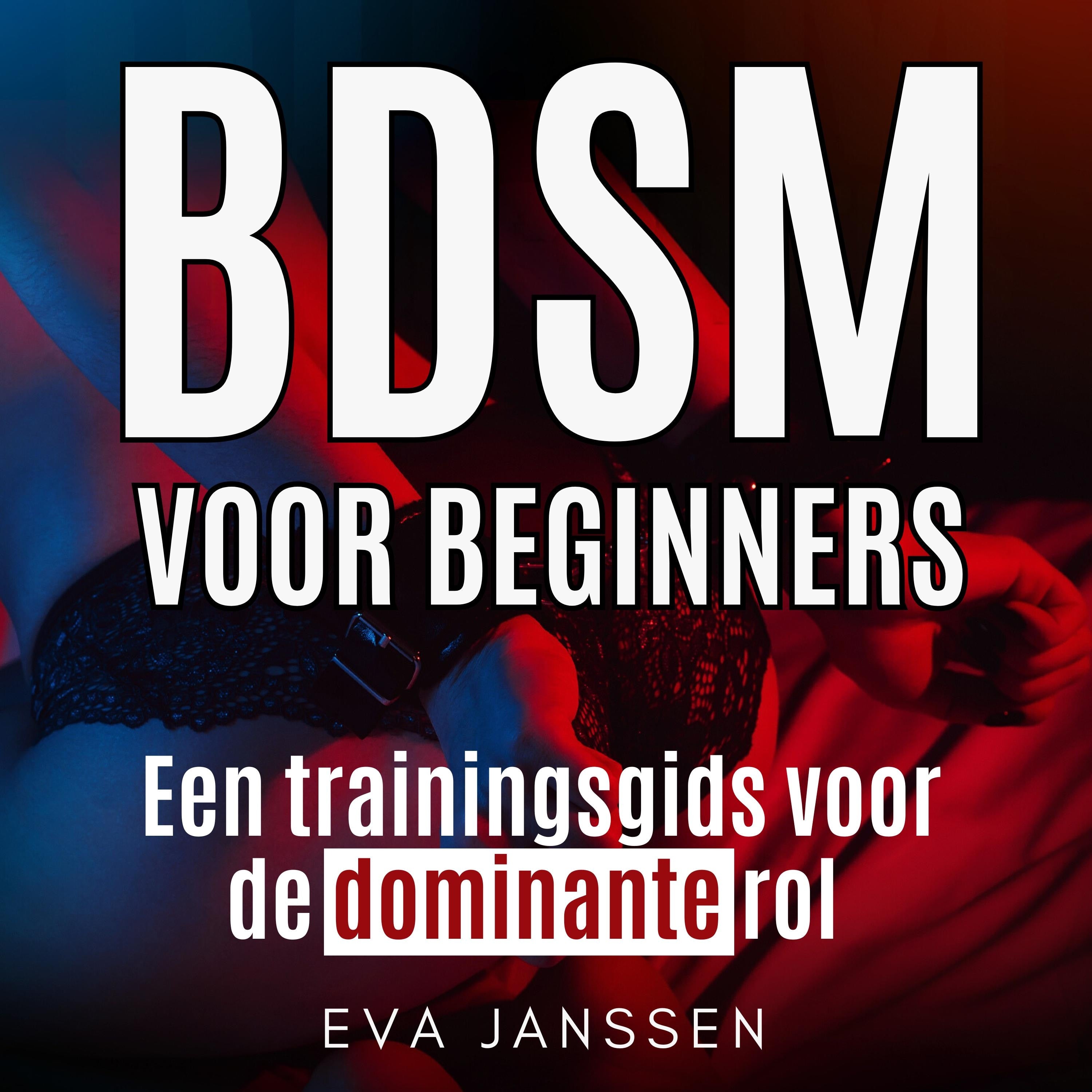 BDSM Voor Beginners