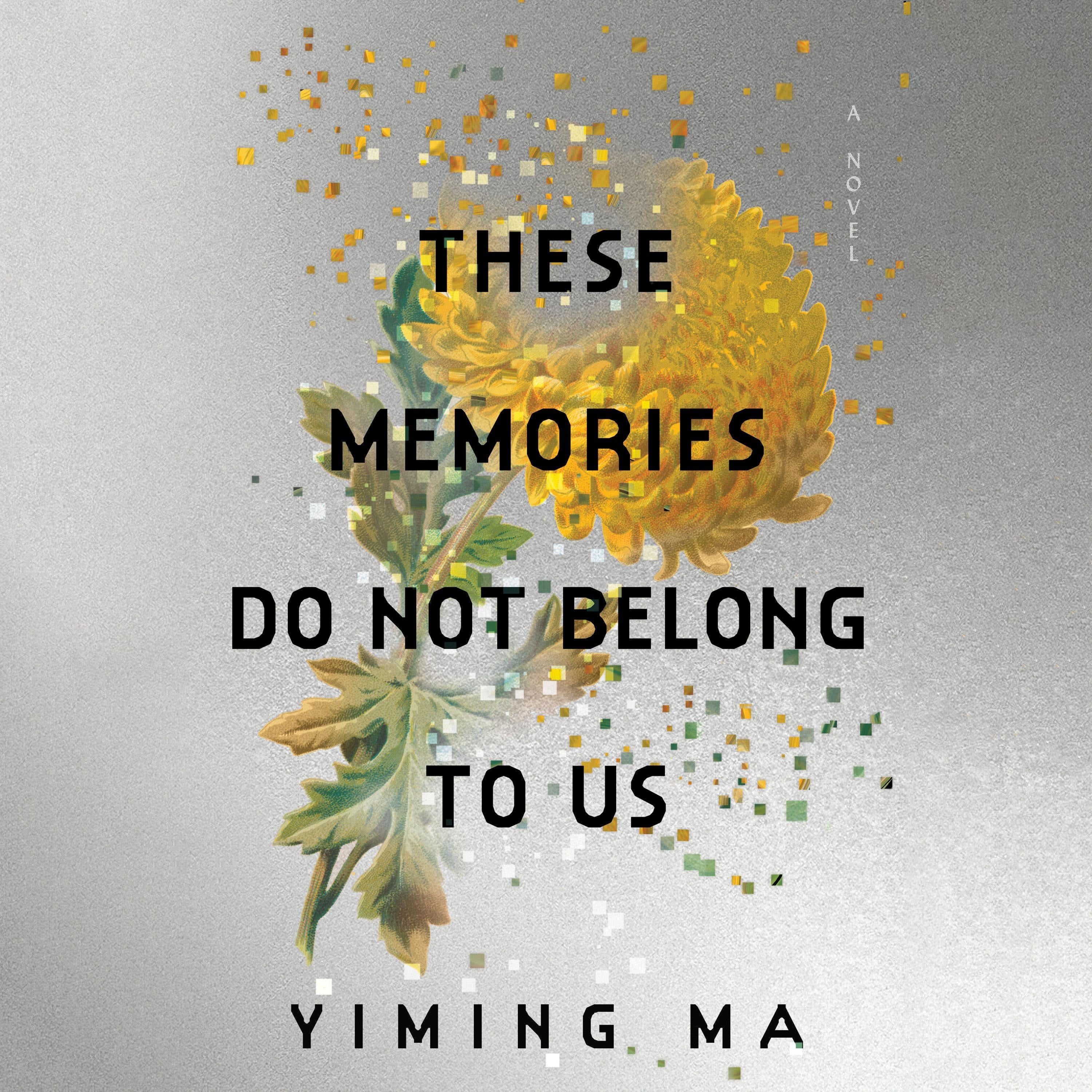 These Memories Do Not Belong to Us