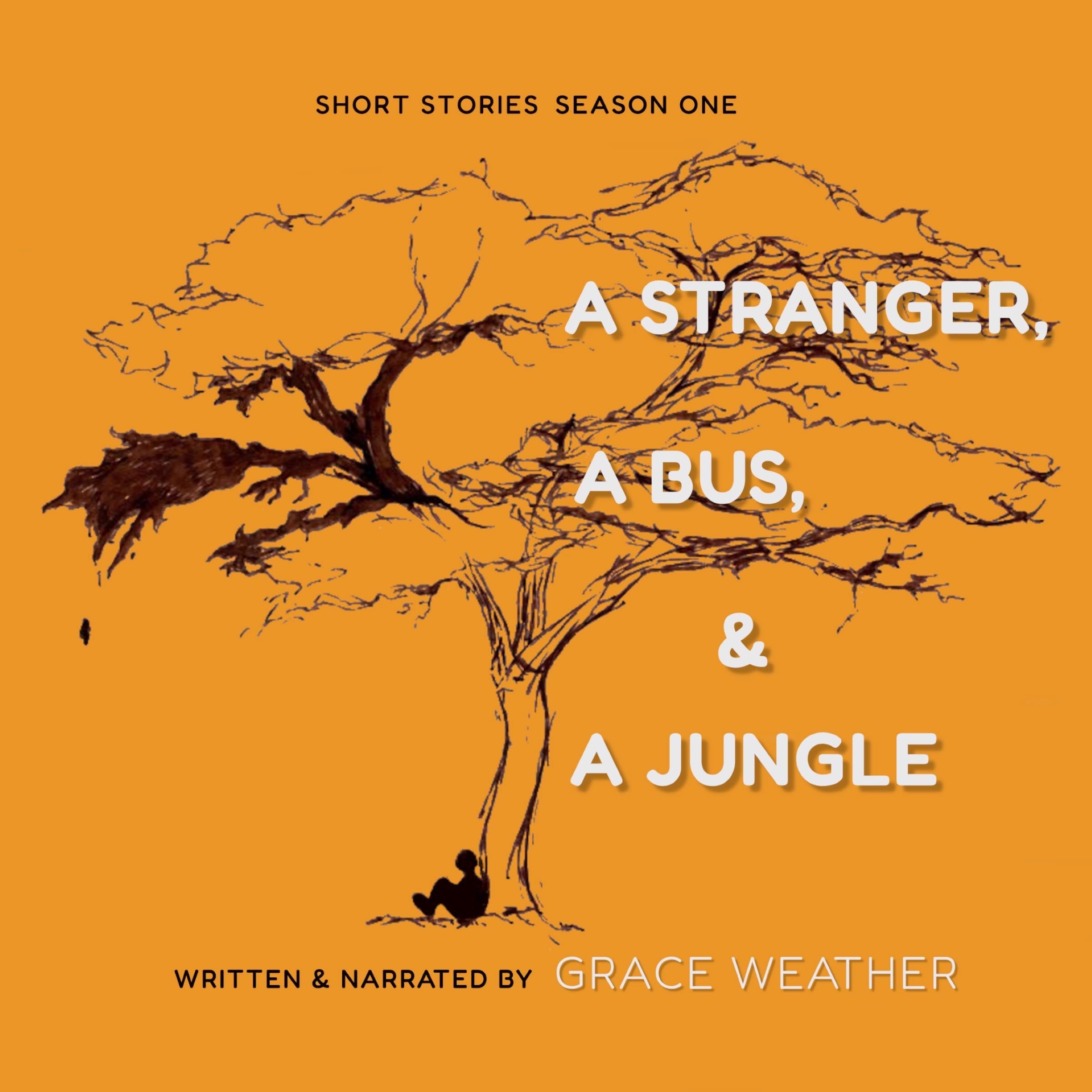 A Stranger, a Bus and a Jungle