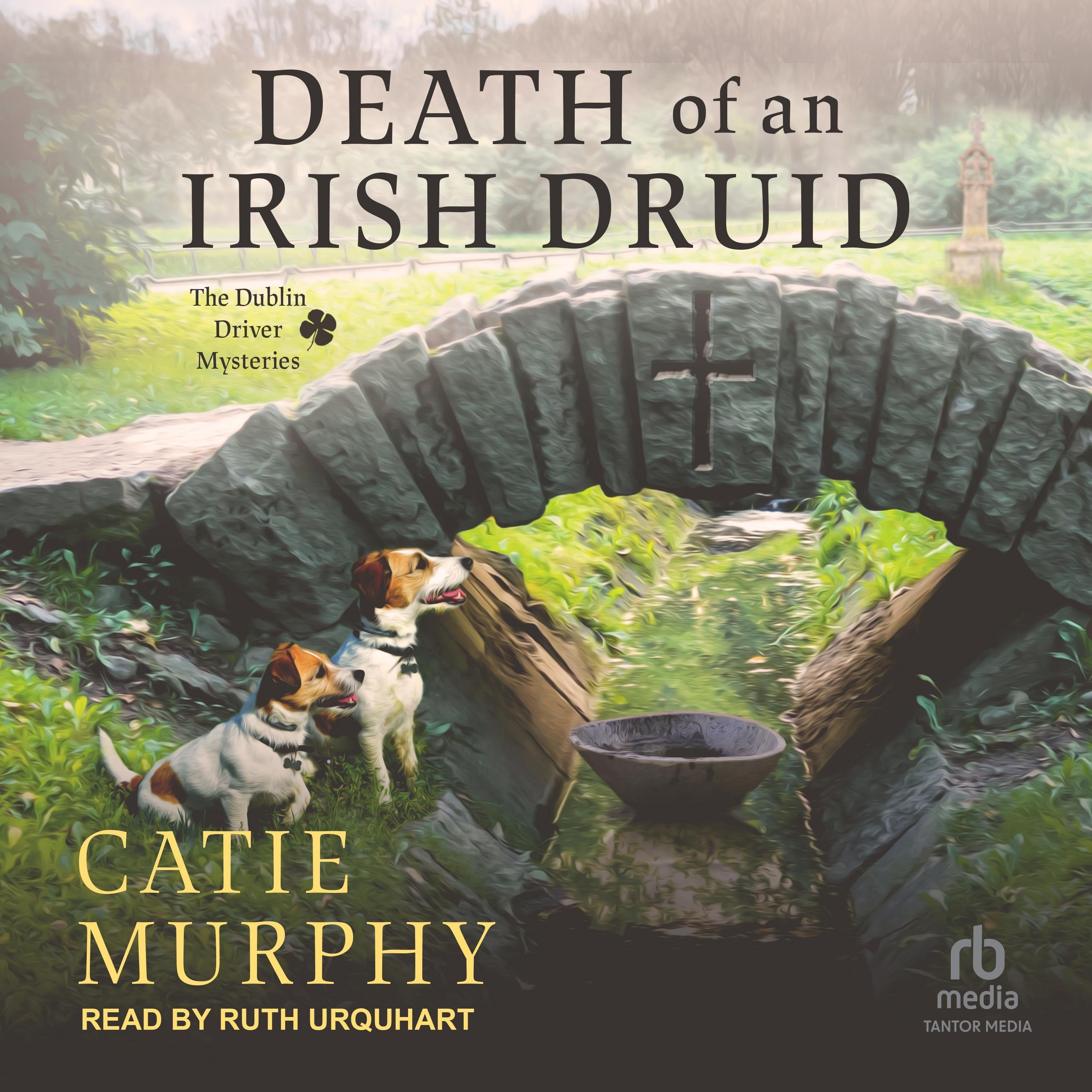 Death of an Irish Druid
