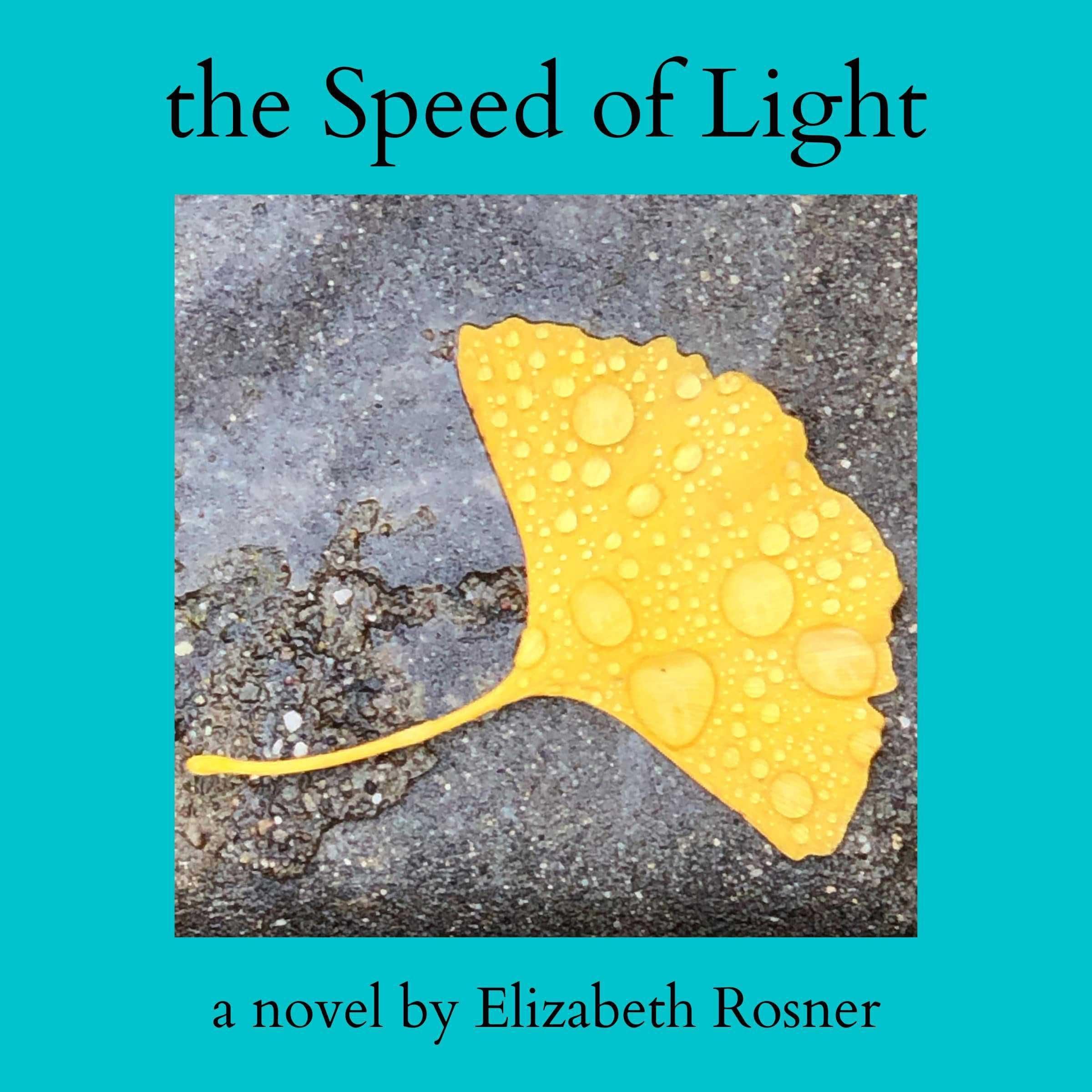 The Speed of Light