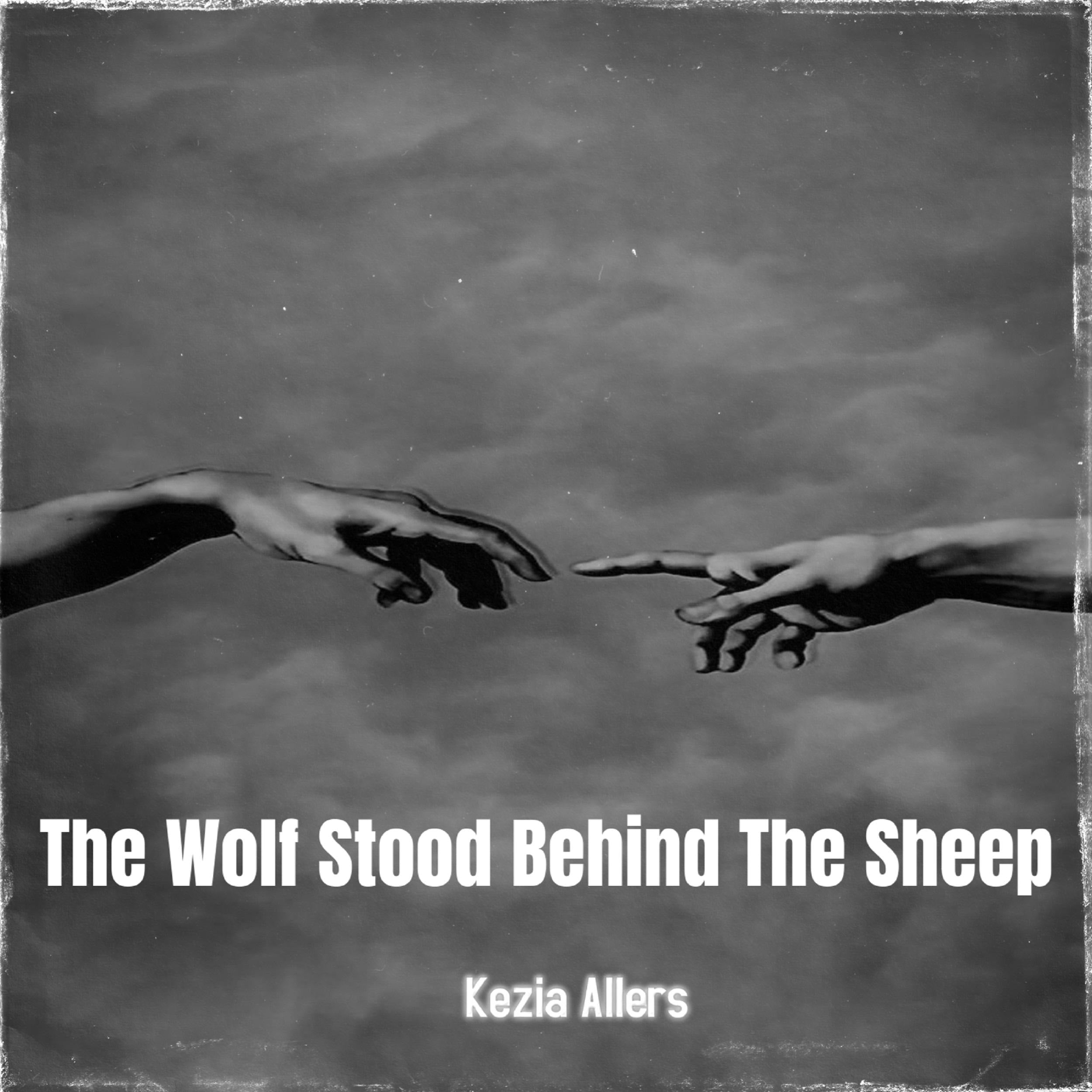 The Wolf Stood Behind The Sheep