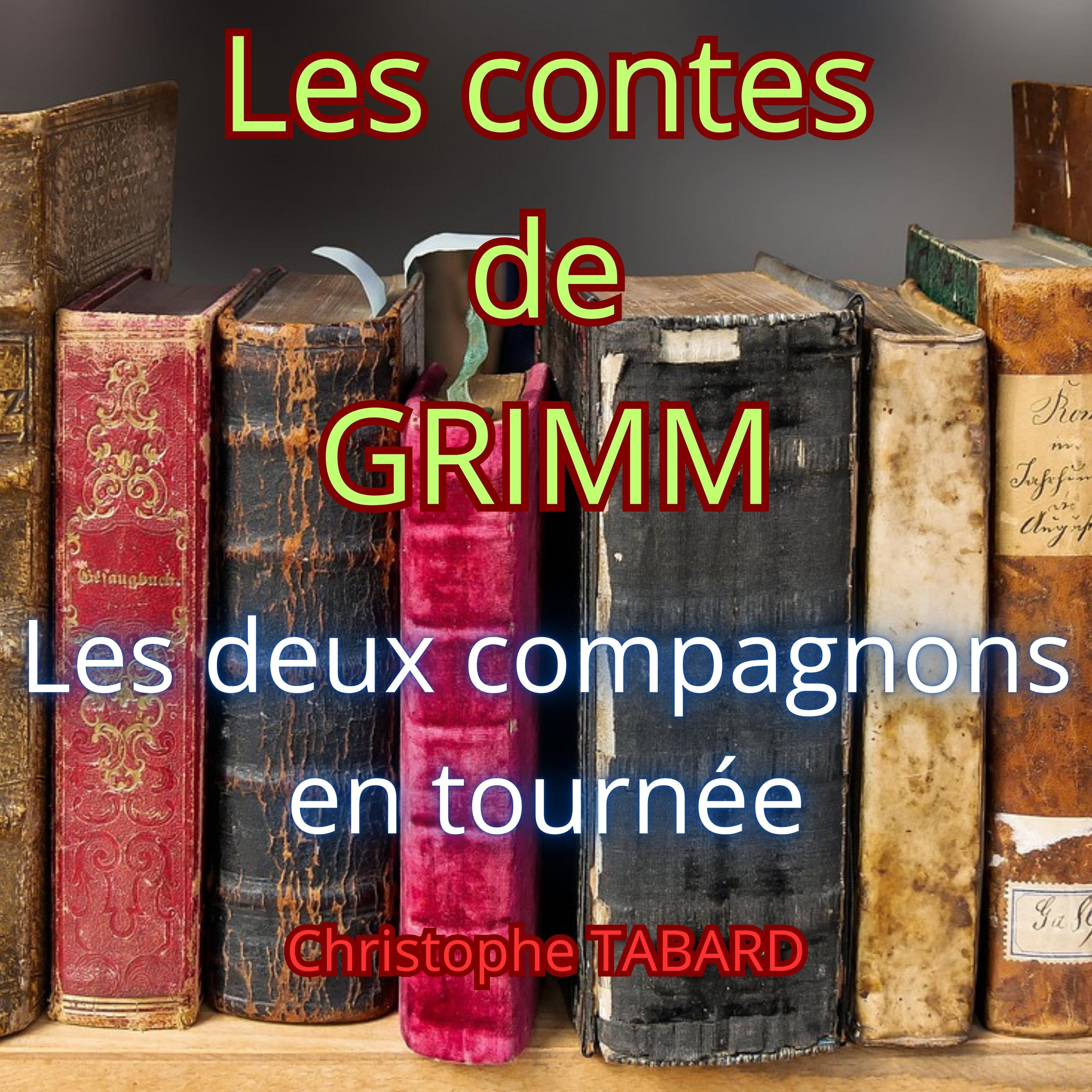 Les deux compagnons en tournée