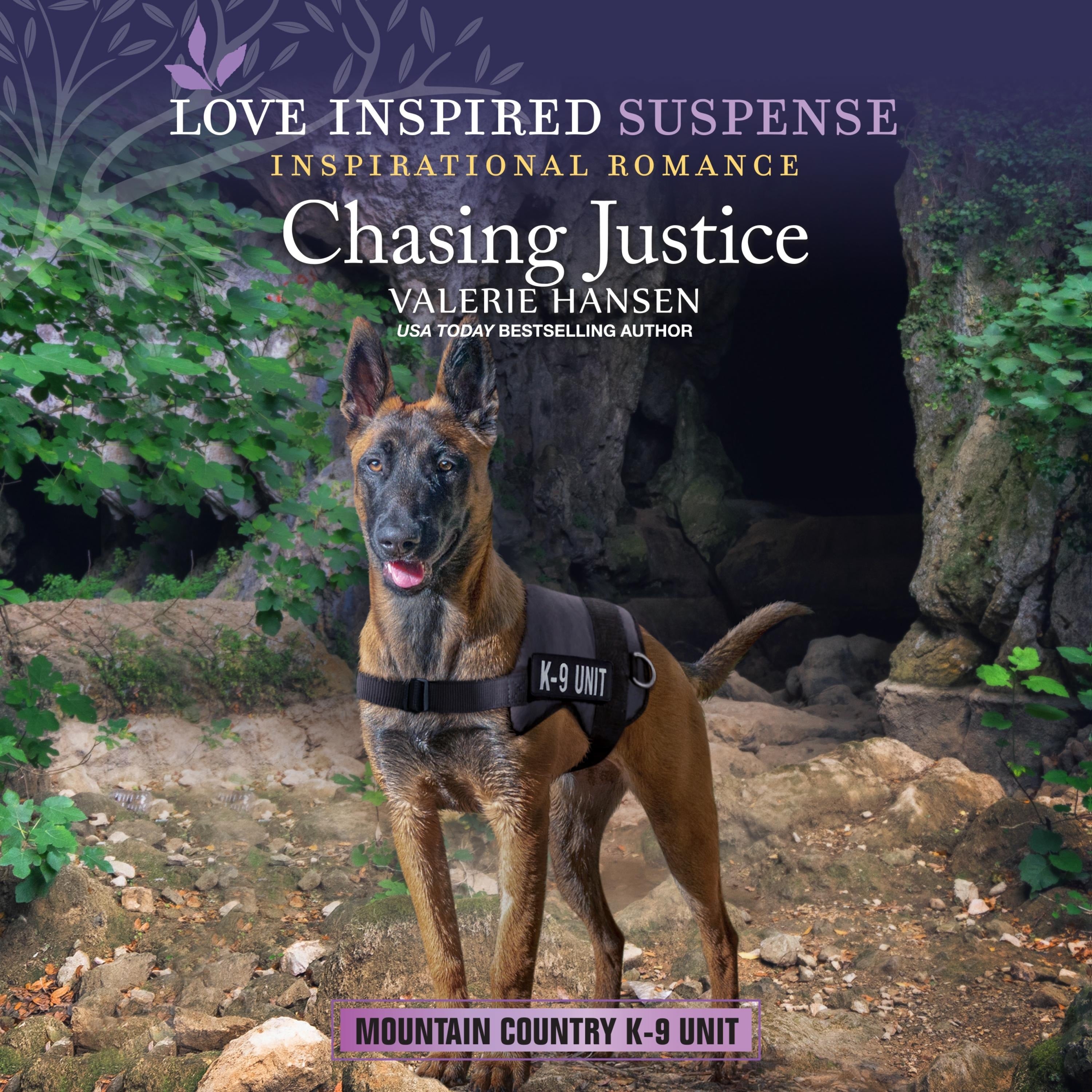 Chasing Justice