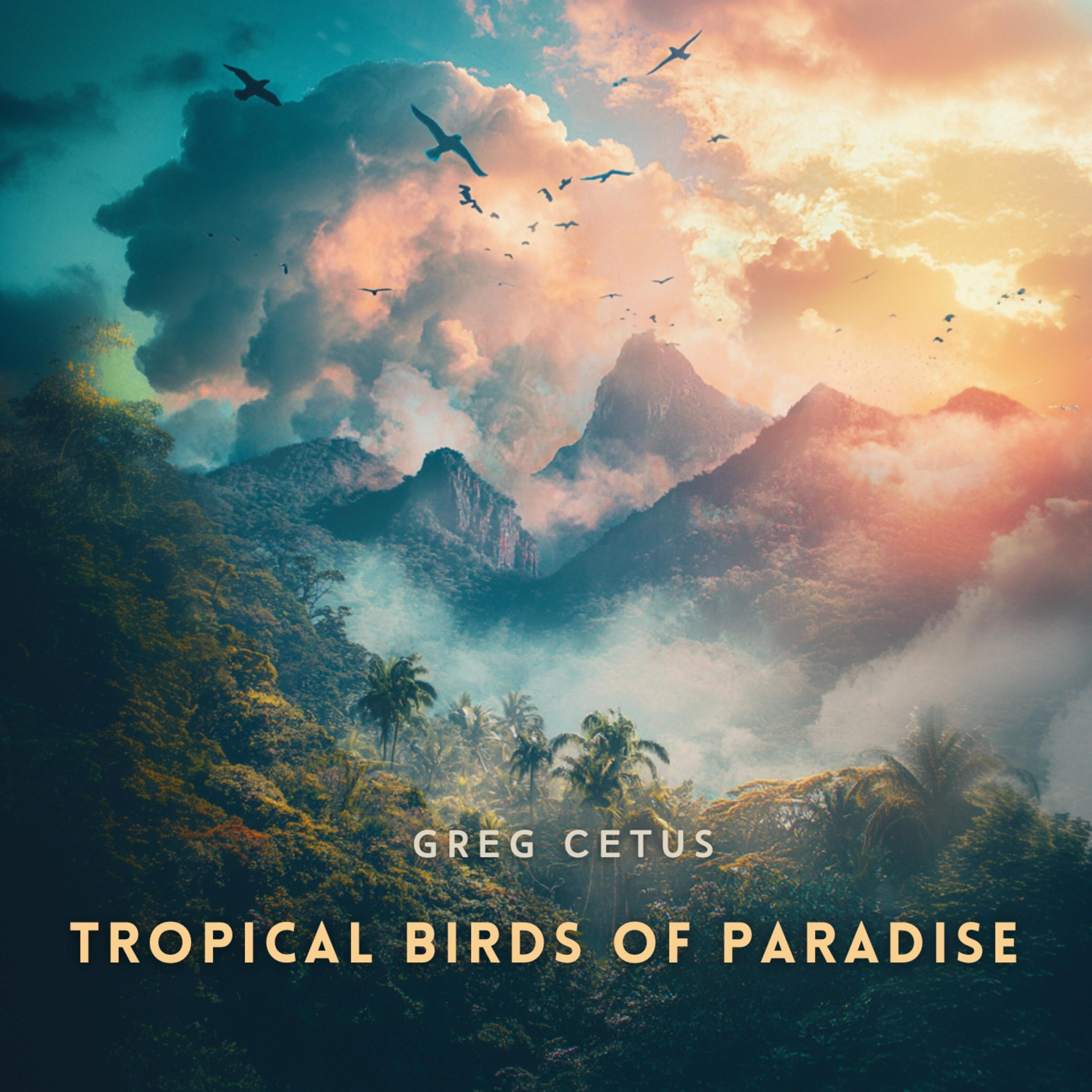 Tropical Birds of Paradise: Nature's Soundtrack for Focus and Calm