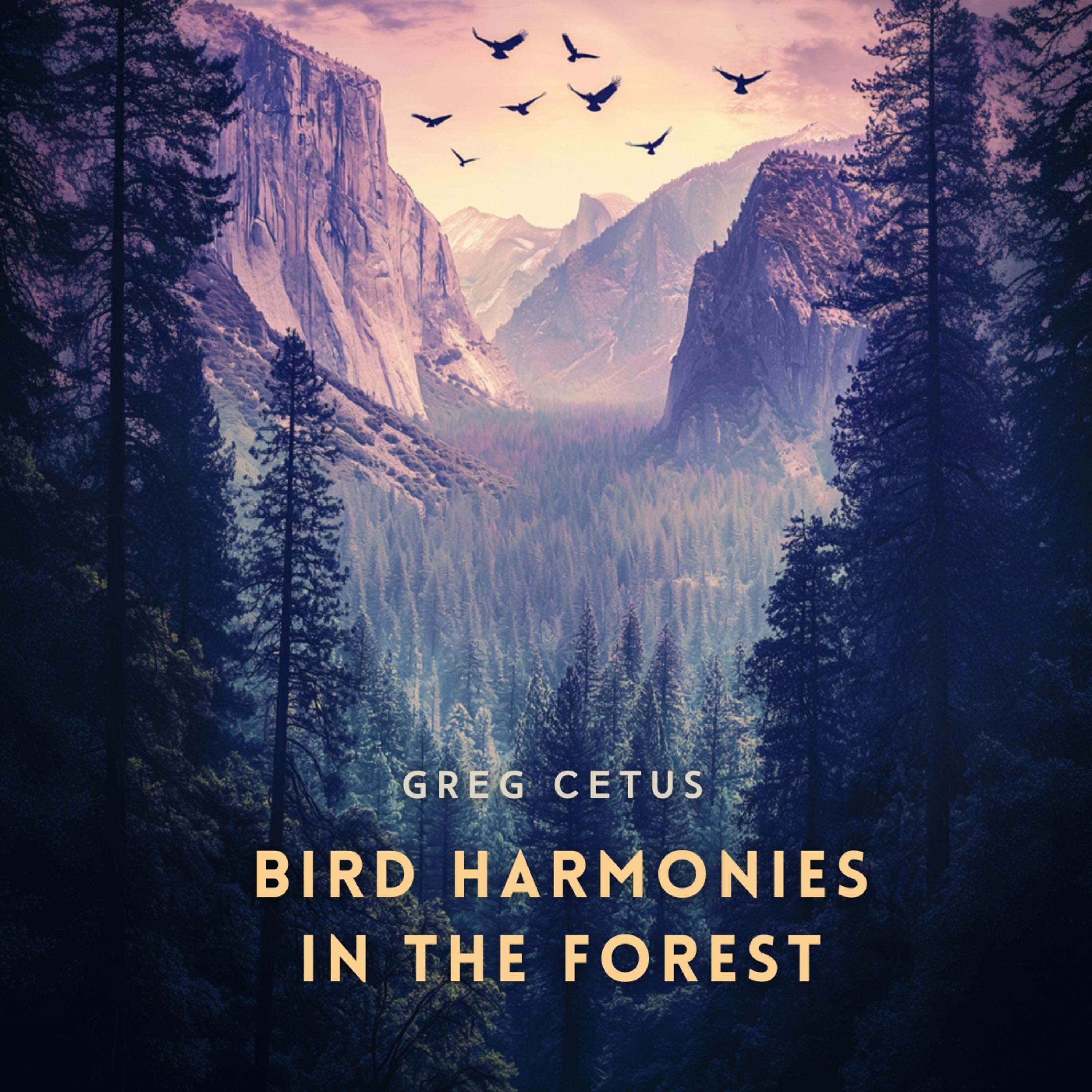 Bird Harmonies in the Forest: Nature's Sounds for Peace and Mindfulness