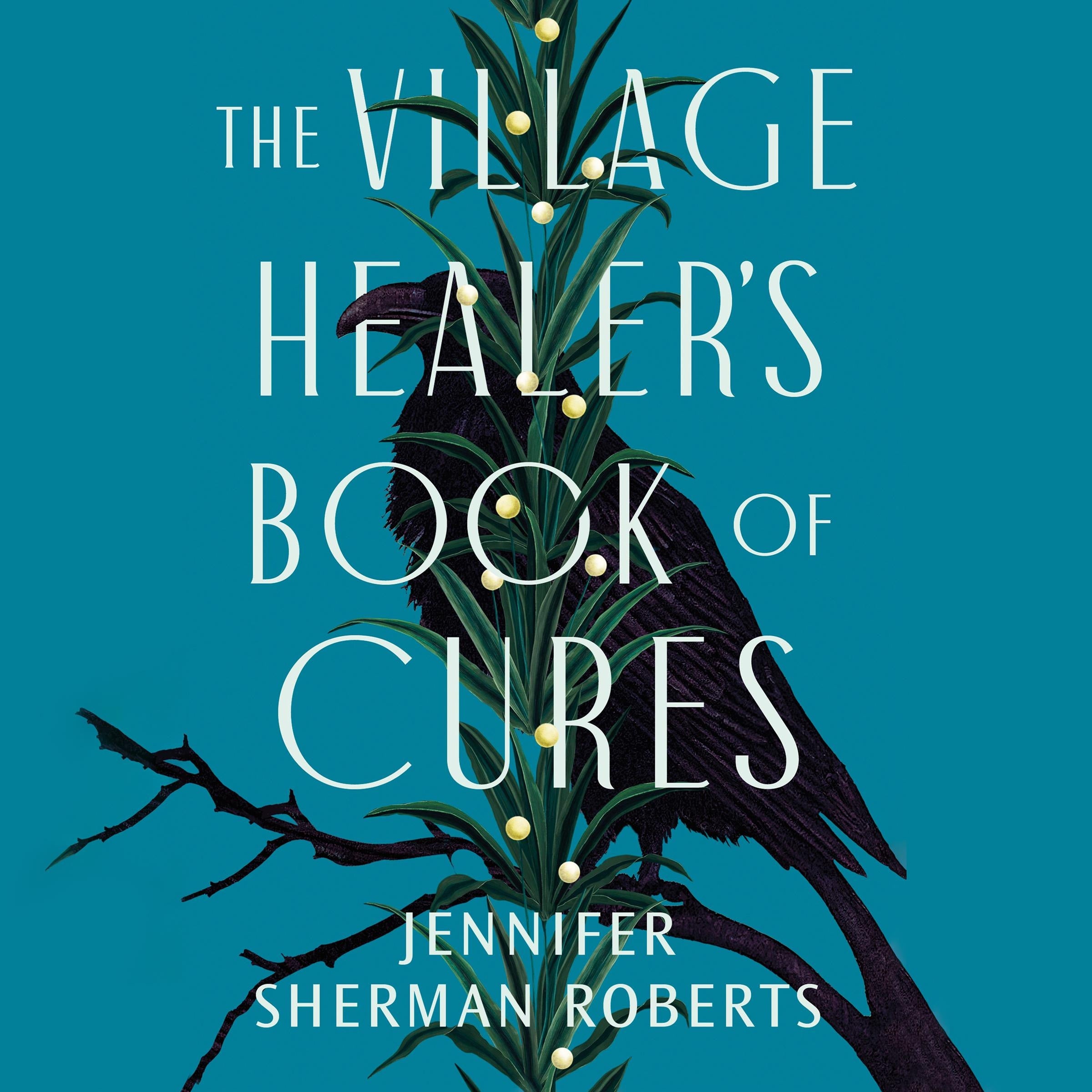 The Village Healer's Book of Cures