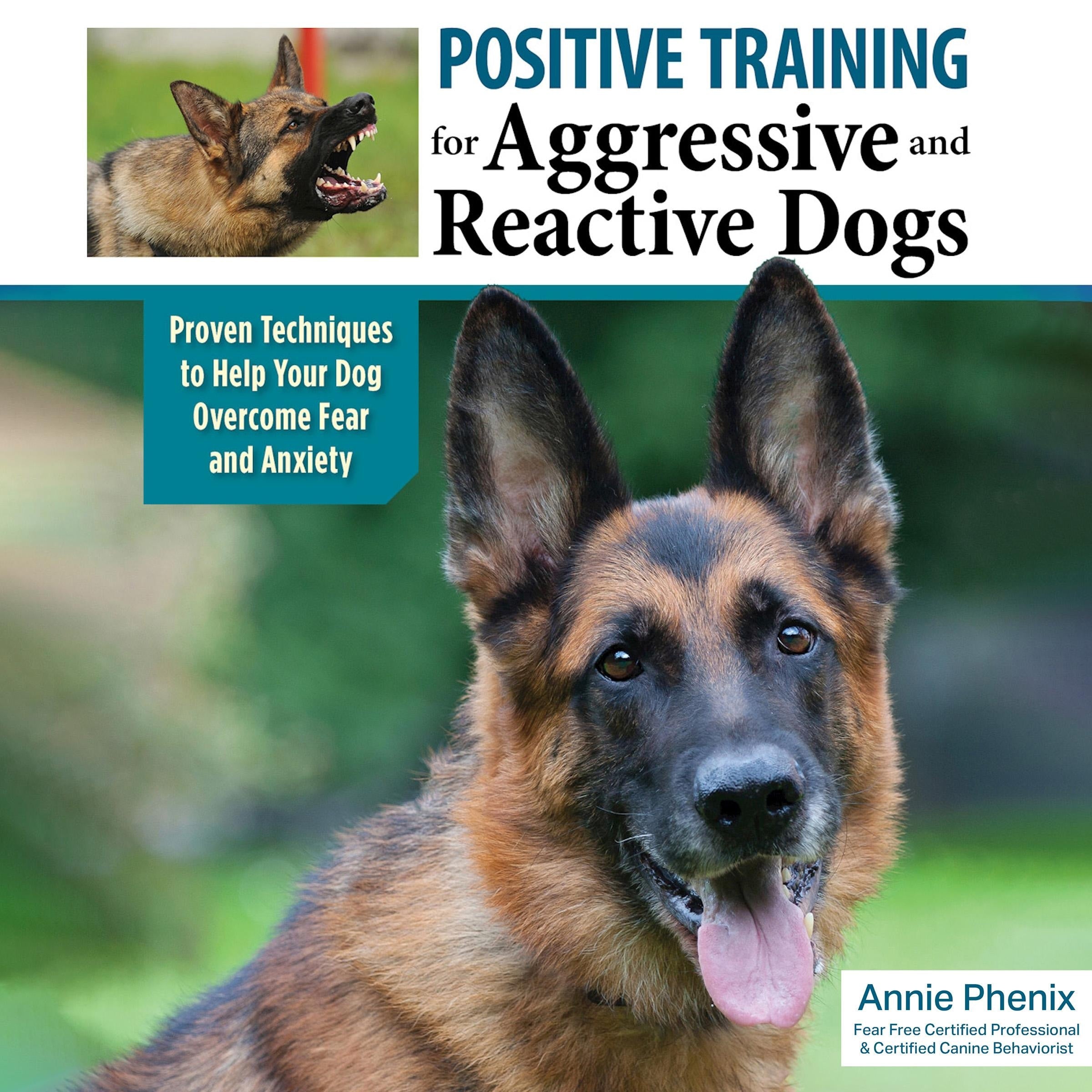 Positive Training for Aggressive and Reactive Dogs