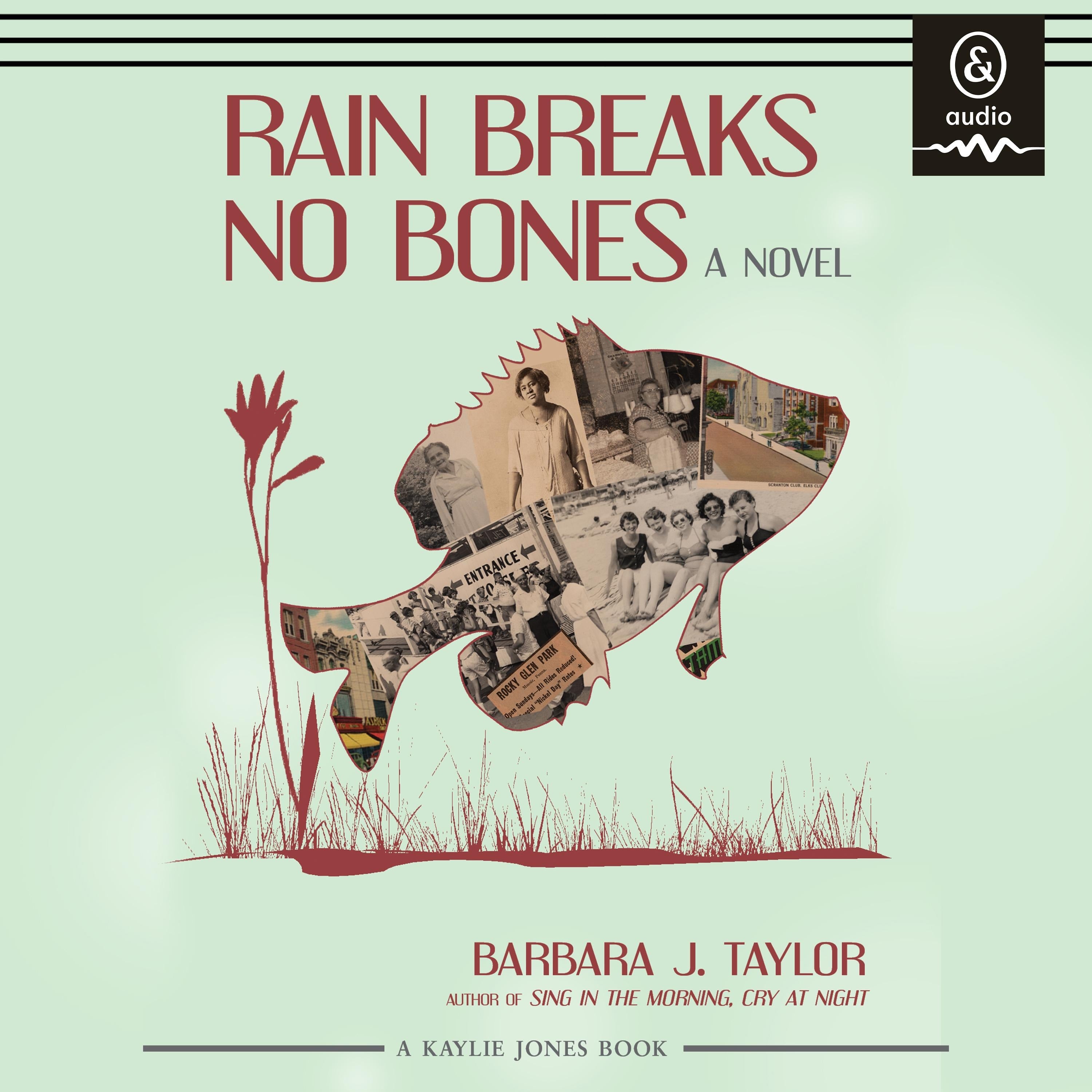 Rain Breaks No Bones