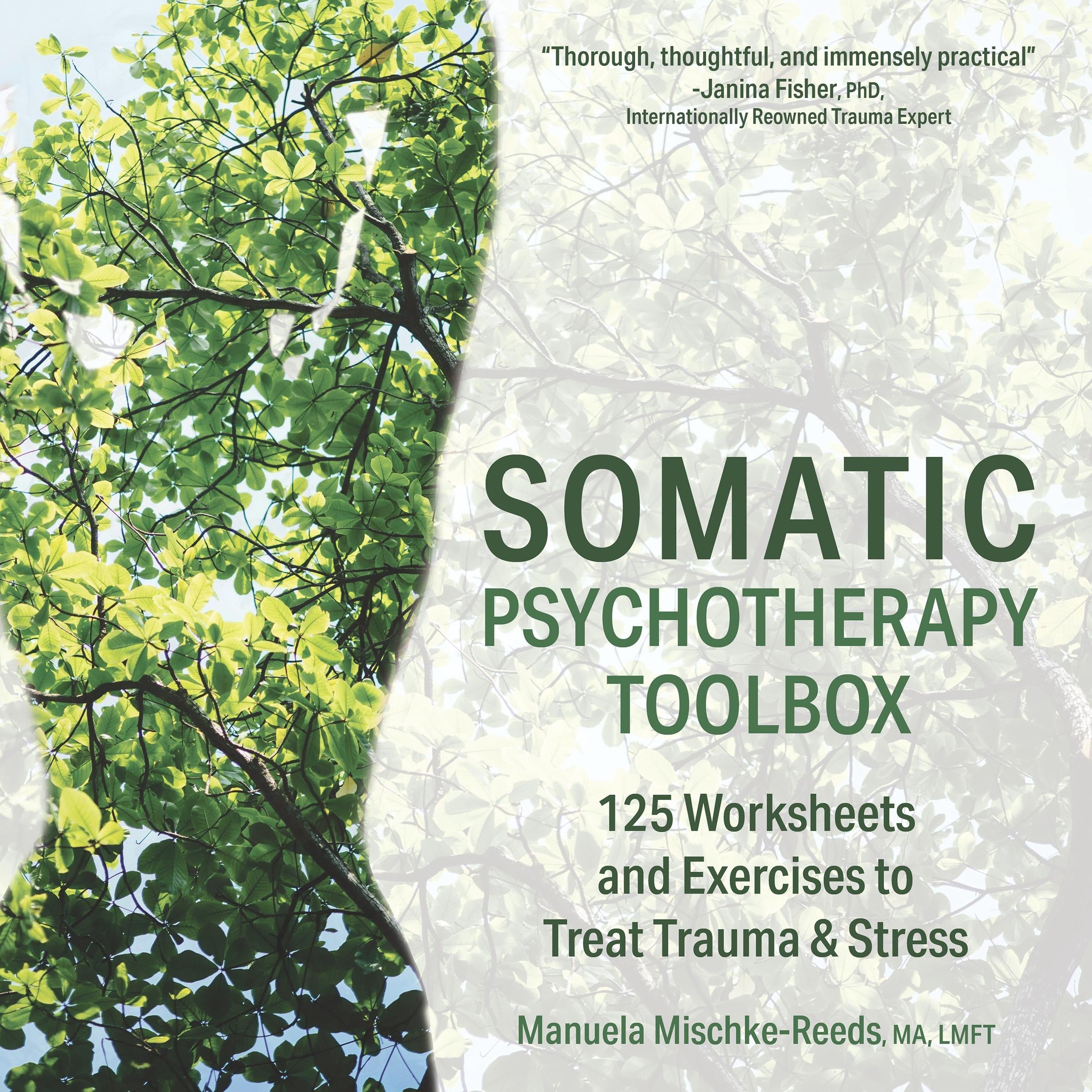 Somatic Psychotherapy Toolbox