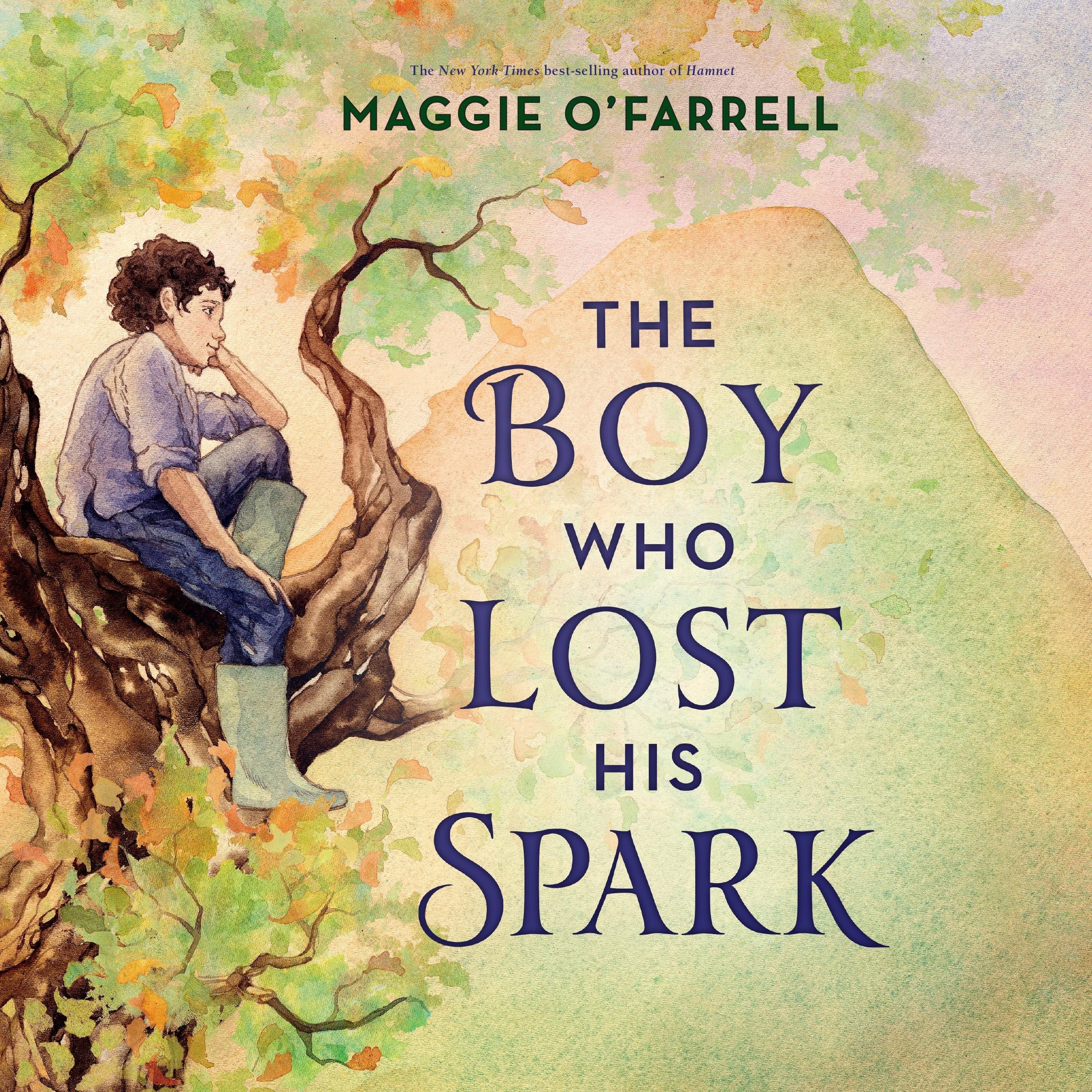 The Boy Who Lost His Spark