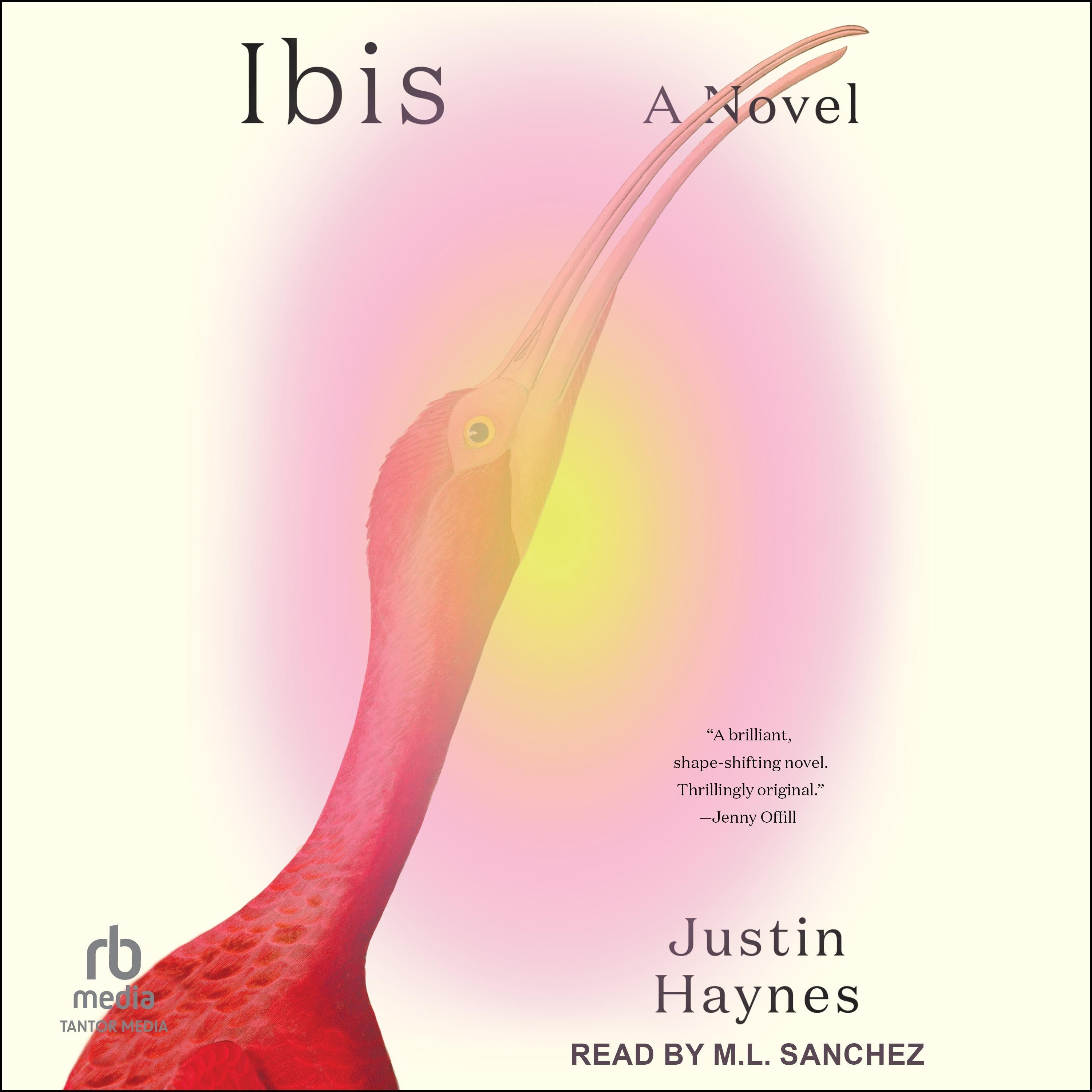 Ibis