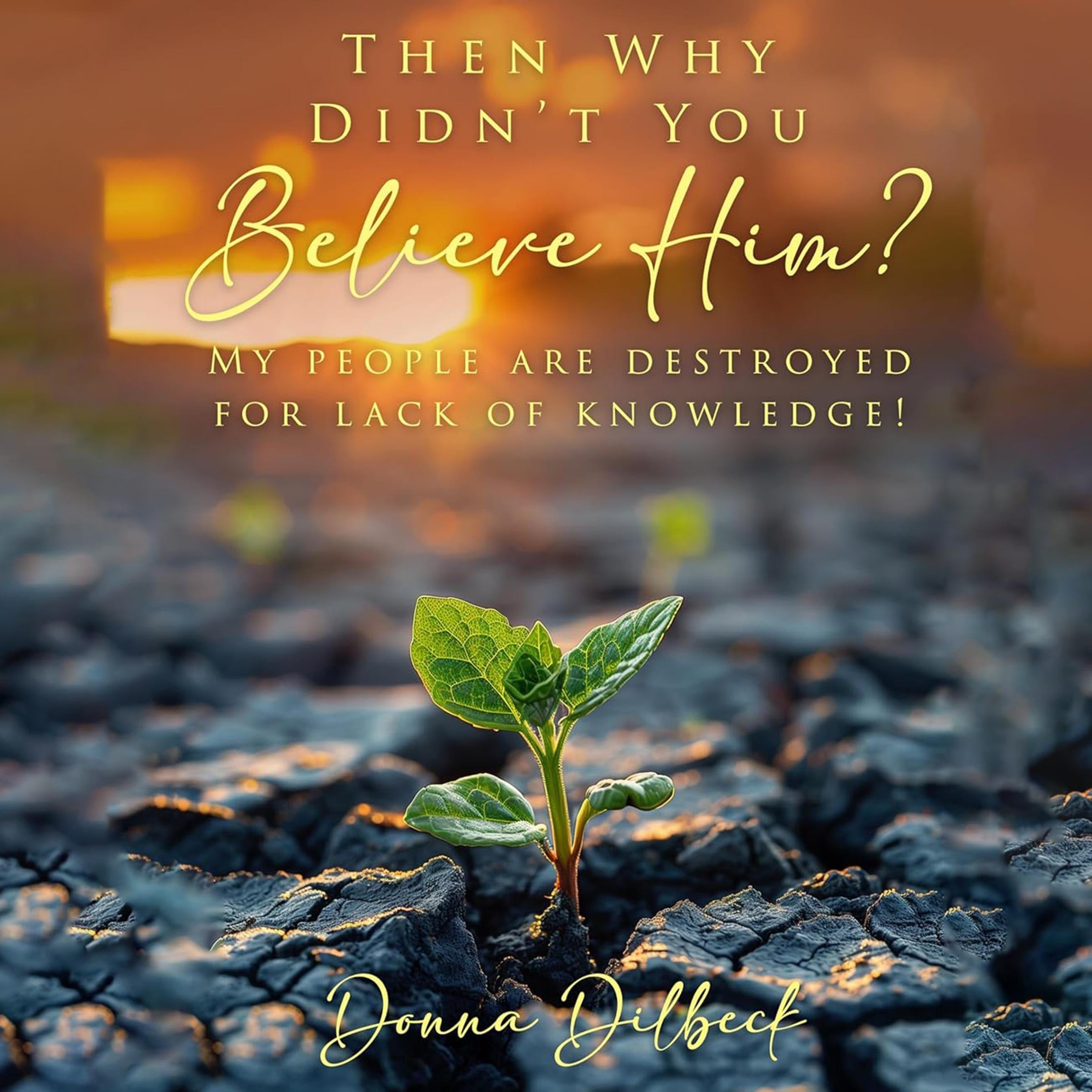 Then Why Didn’t You Believe Him?