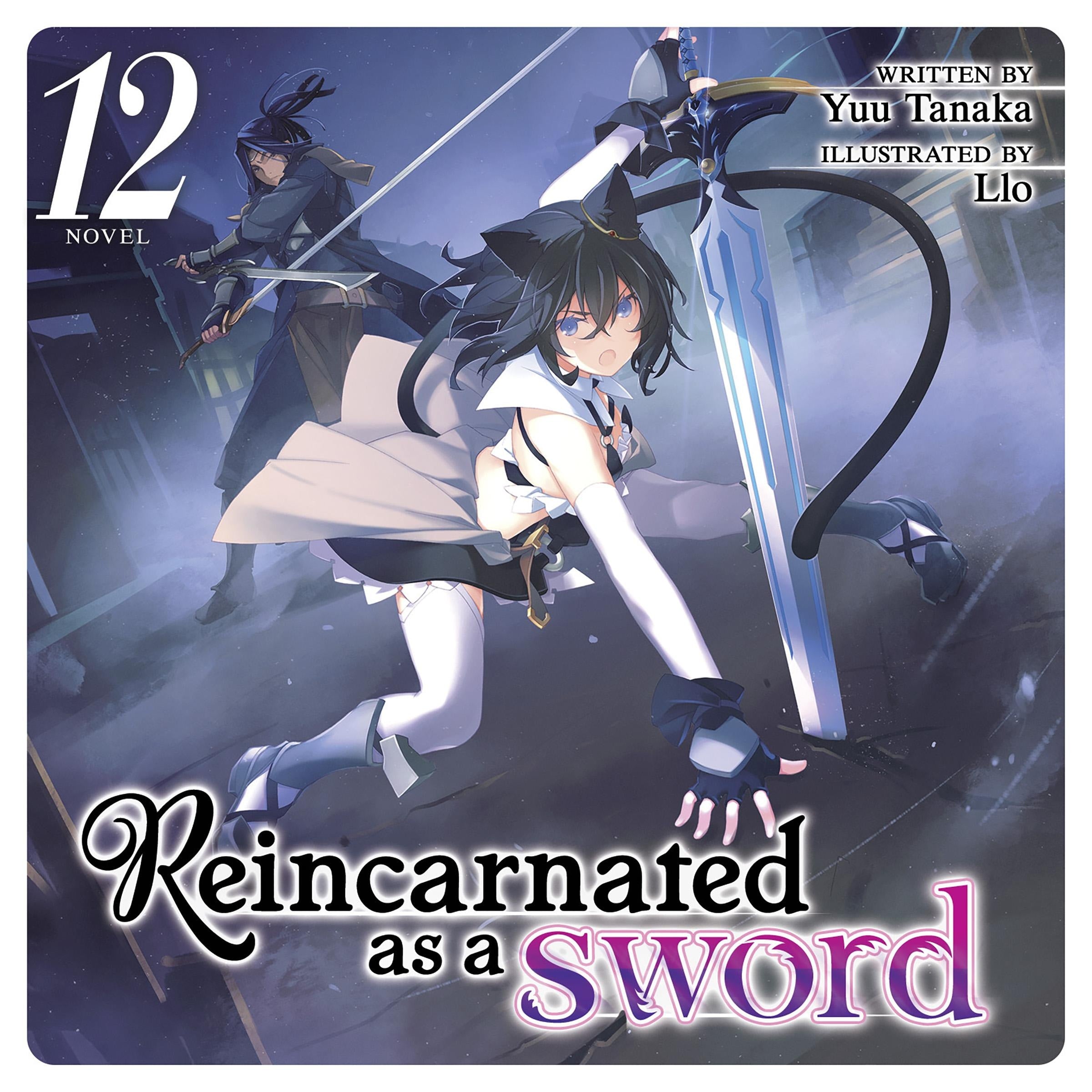 Reincarnated as a Sword (Light Novel) Vol. 12