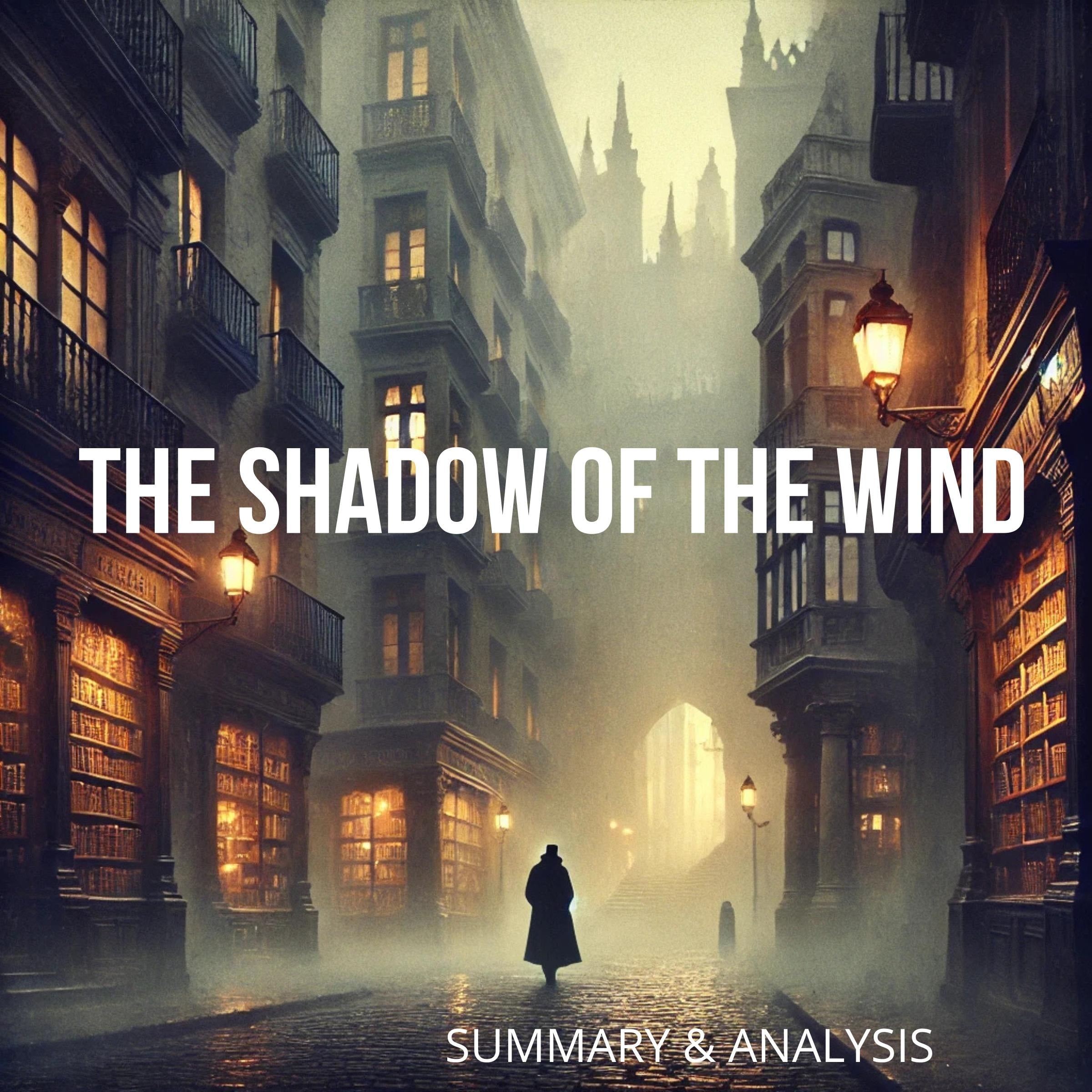 The Shadow of the Wind: Book summary & analysis