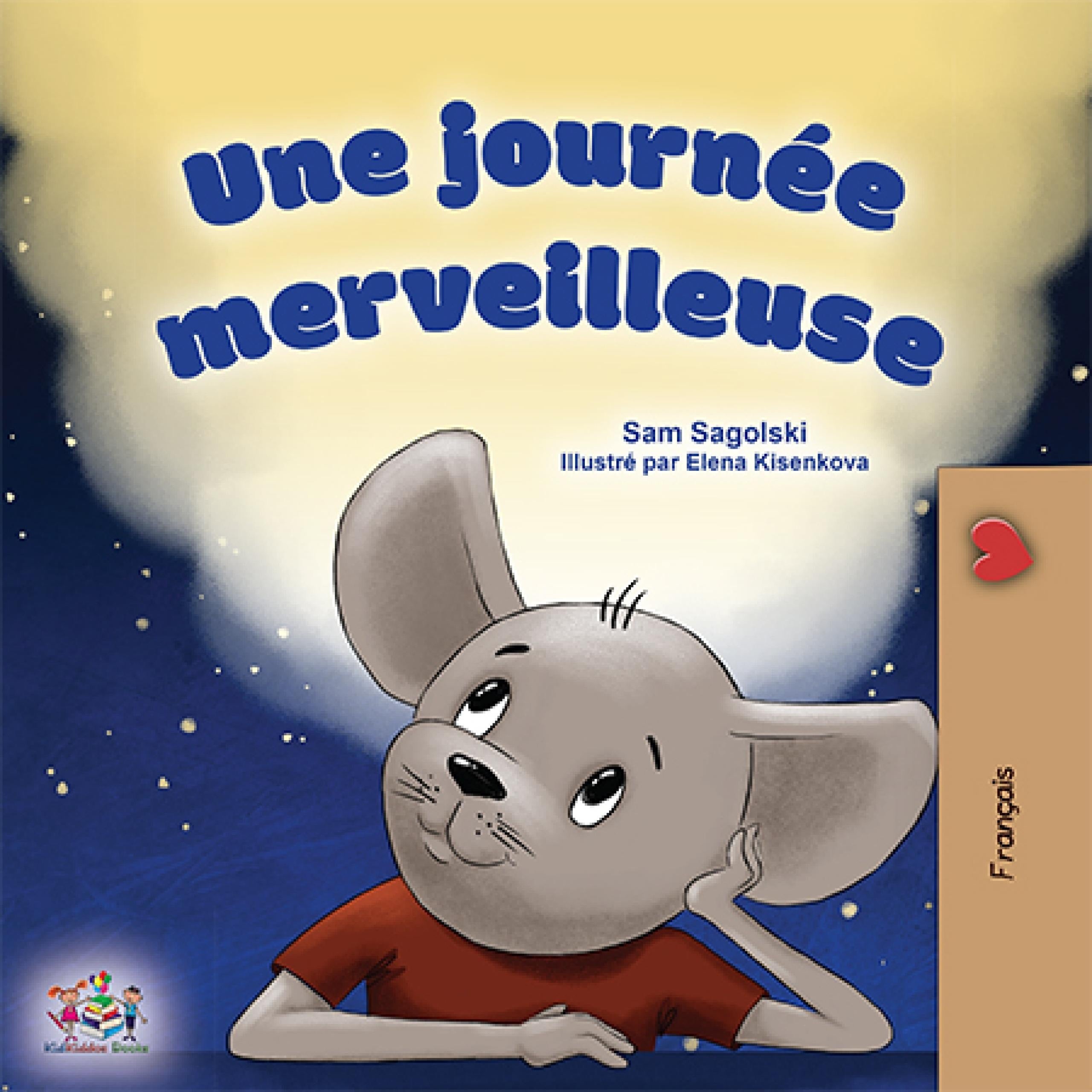 Une journée merveilleuse (French Only)