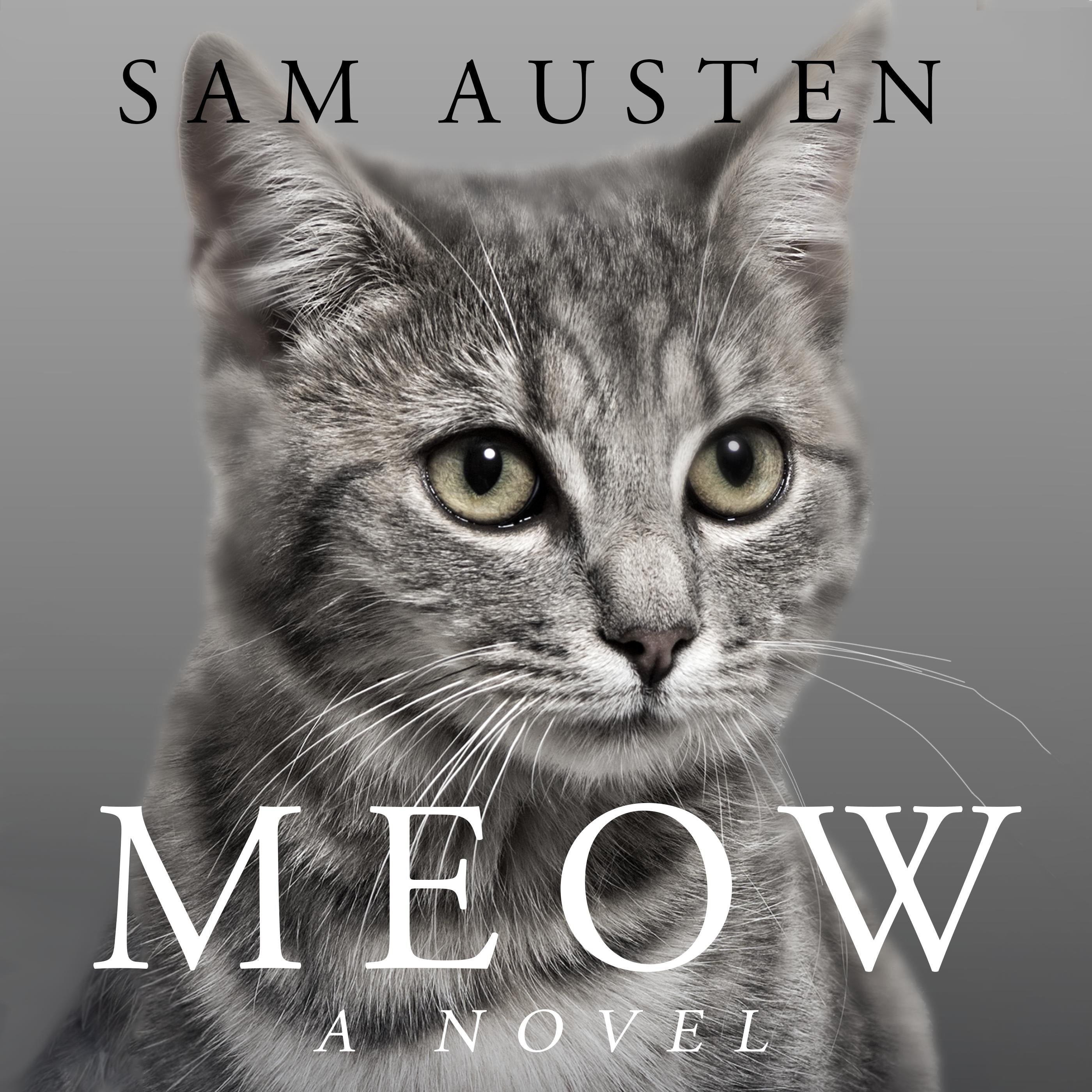 Meow: A Novel