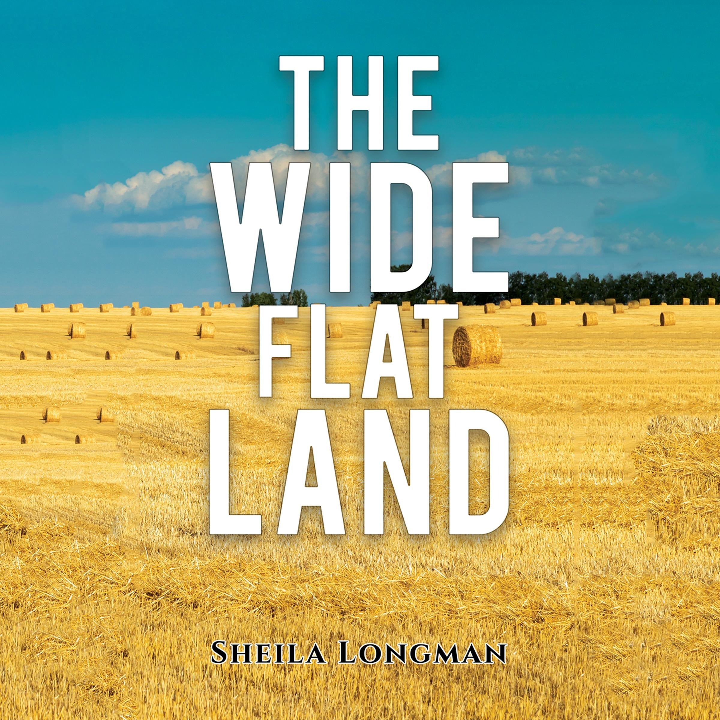 The Wide, Flat Land
