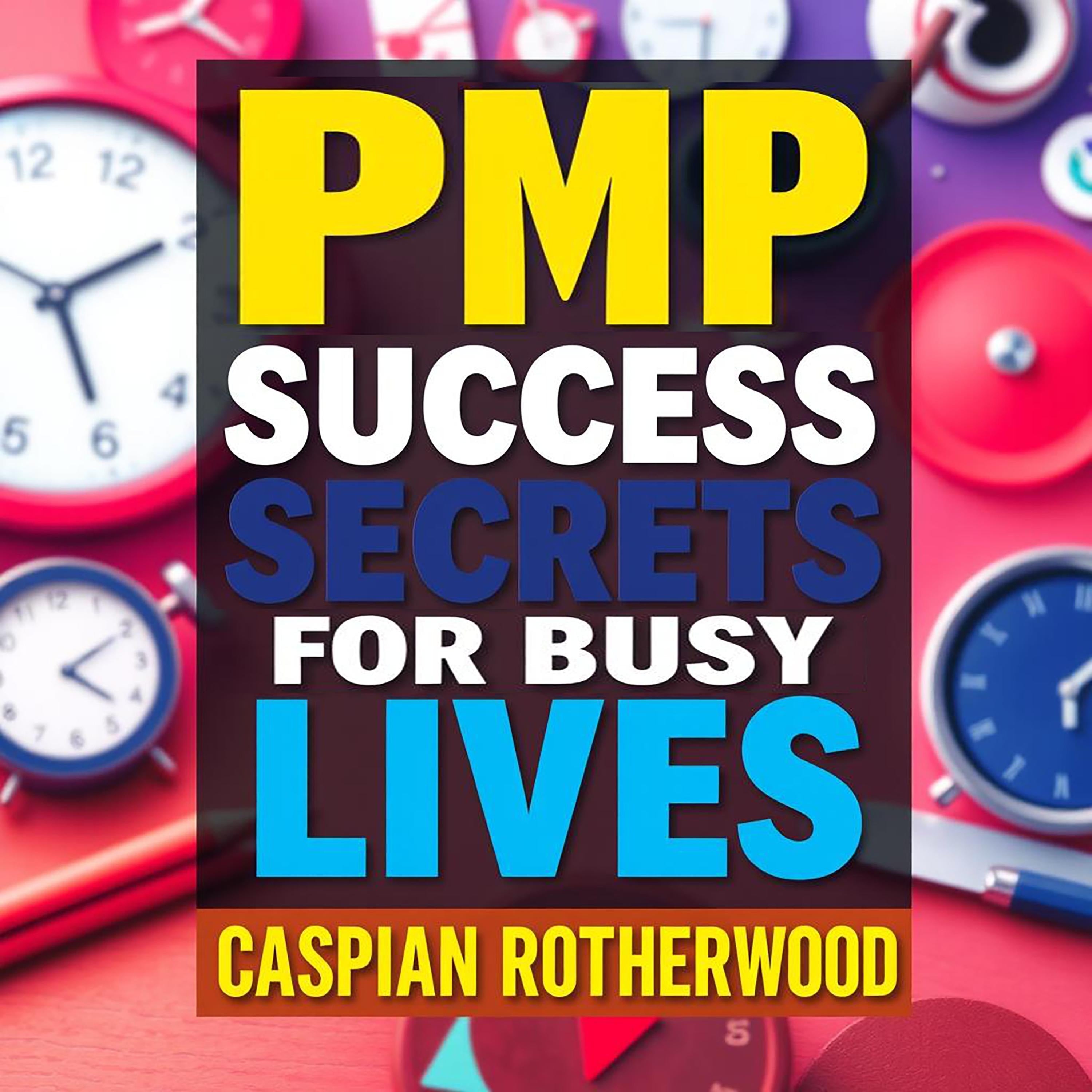 PMP Success Secrets for Busy Lives