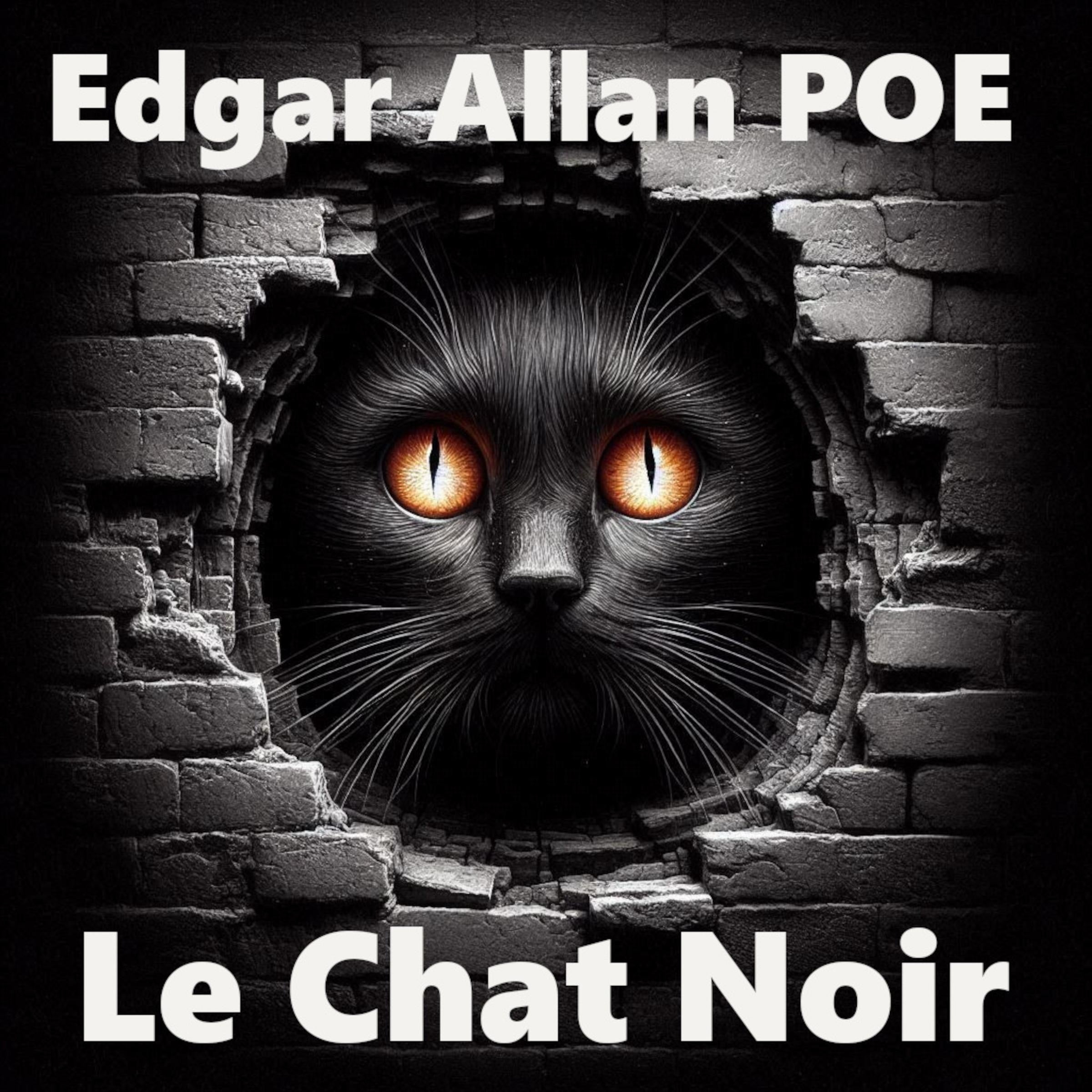 Le Chat Noir