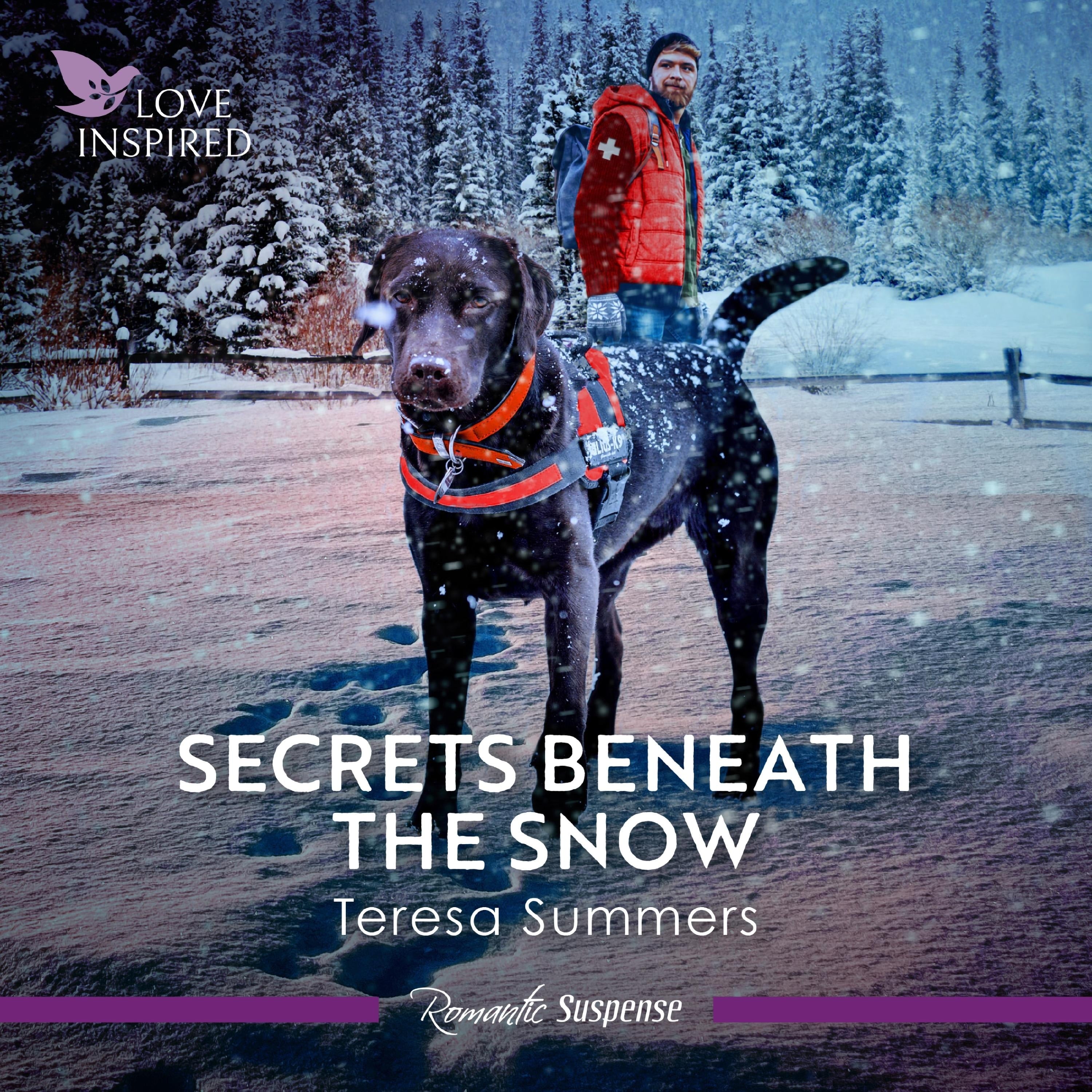 Secrets Beneath The Snow