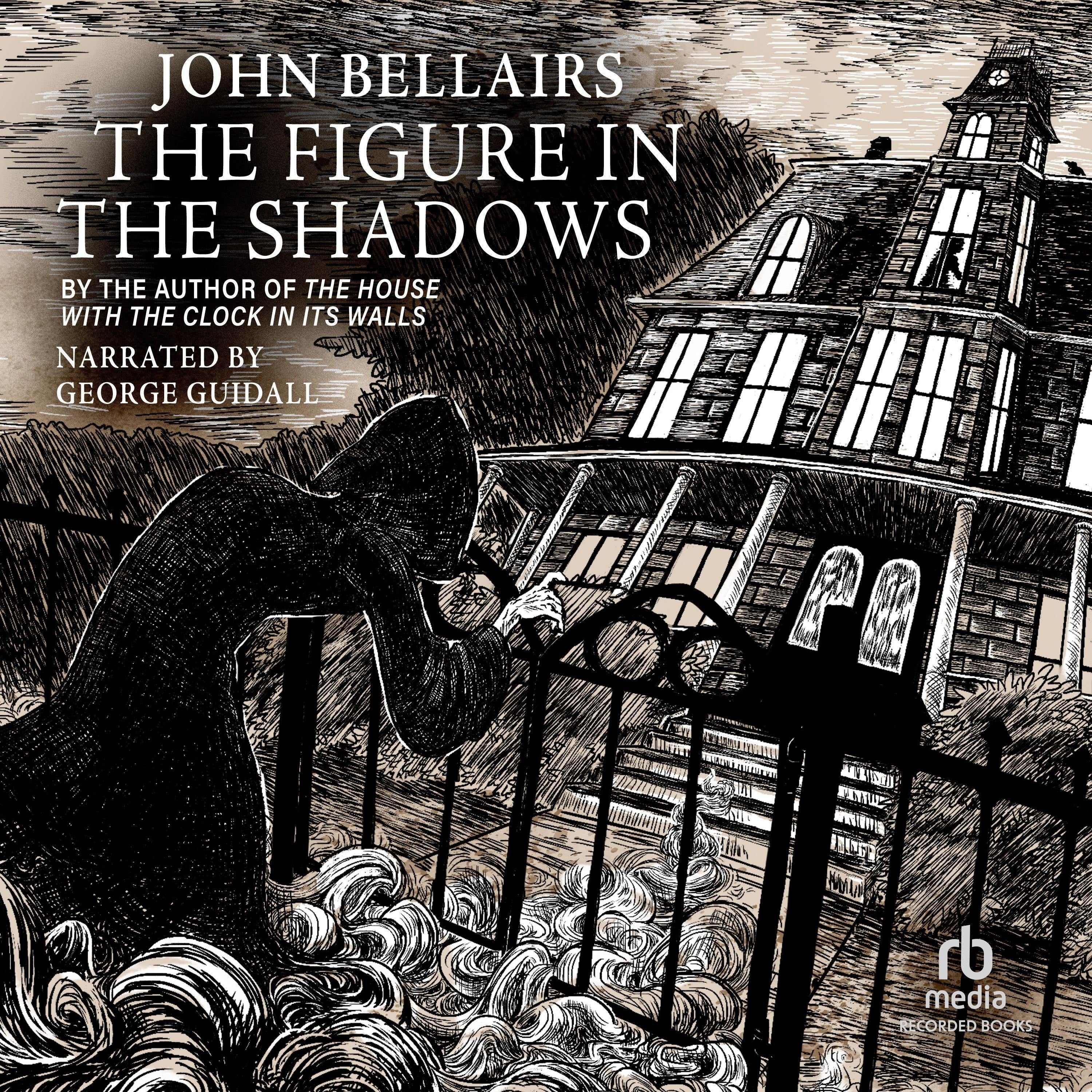 The Figure in the Shadows