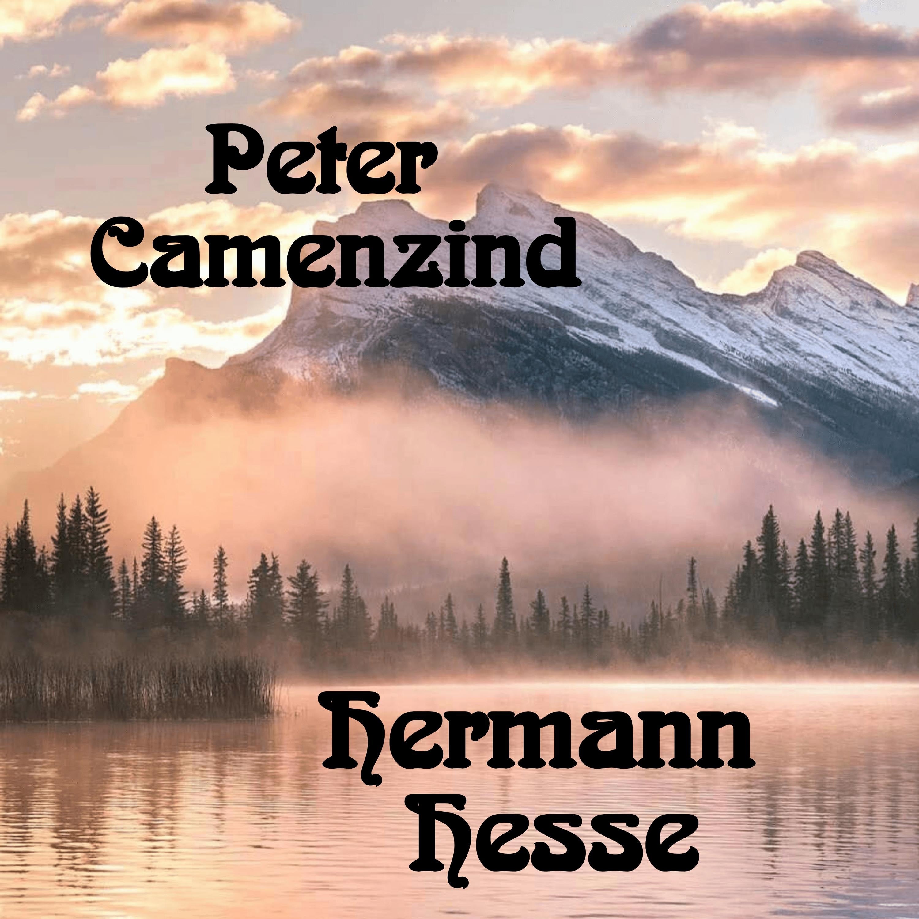 Peter Camenzind