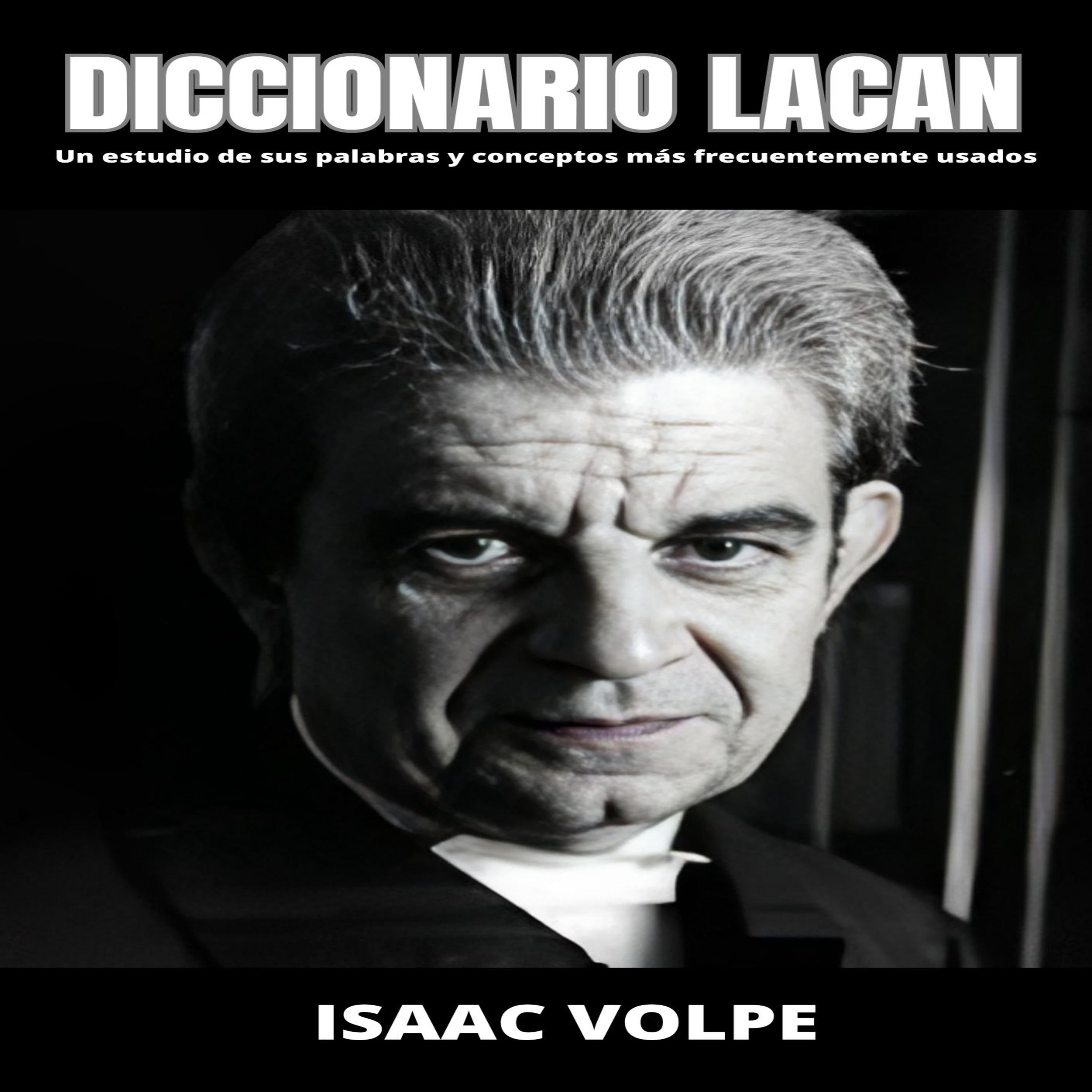 DICCIONARIO LACAN.  Un estudio de sus palabras y  conceptos más frecuentemente usados.