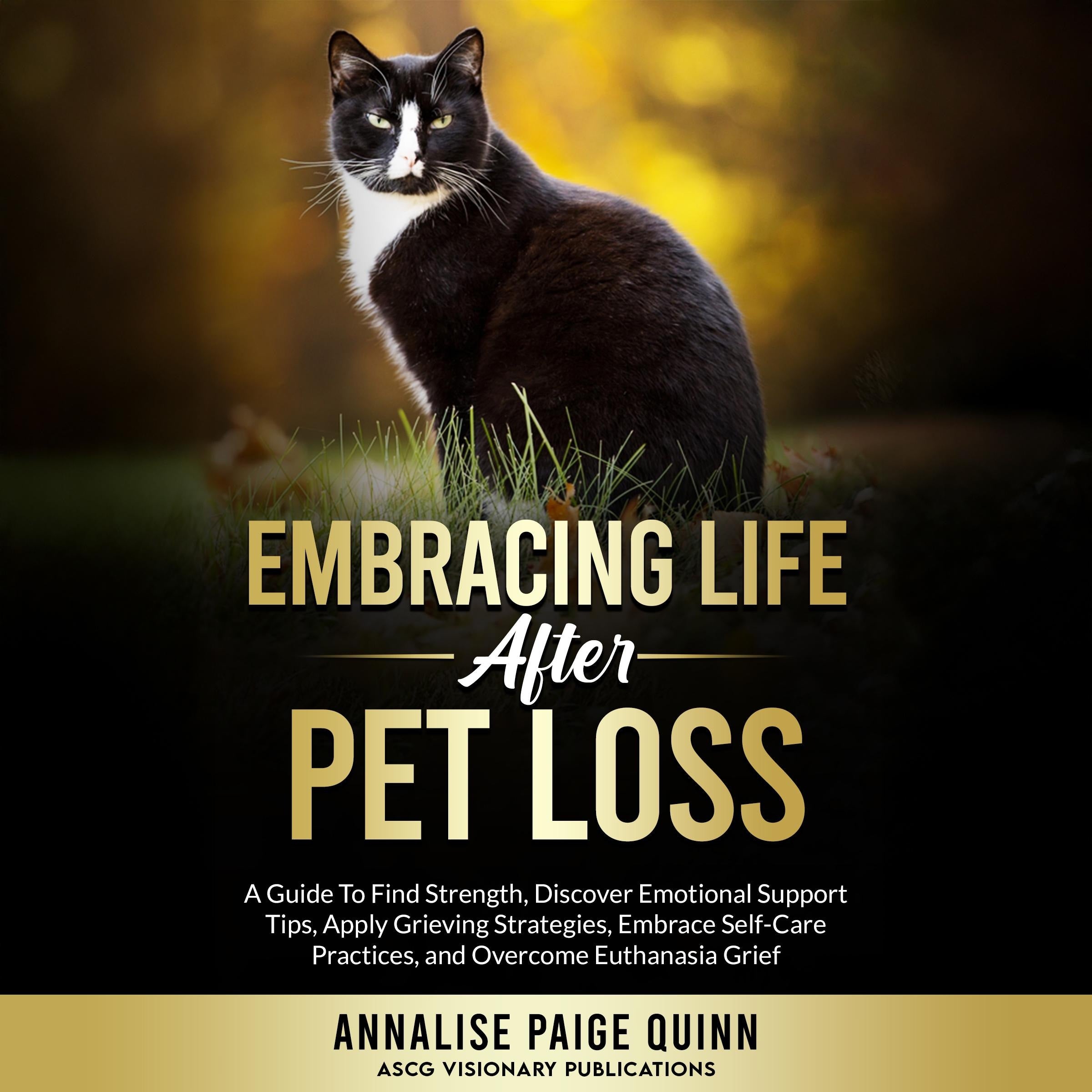 Whiskers in the Wind: Embracing Life After Pet Loss