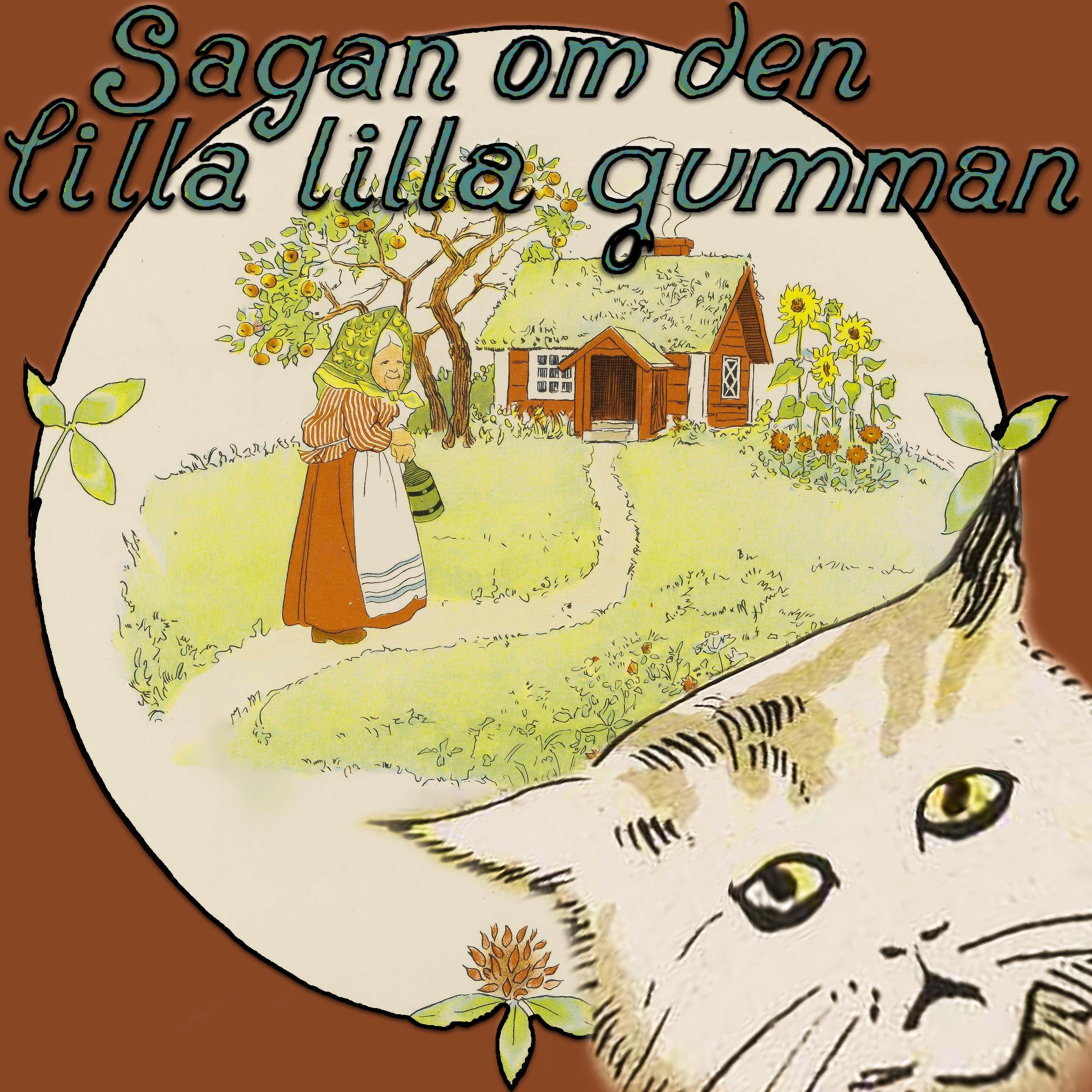 Sagan om den lilla lilla gumman