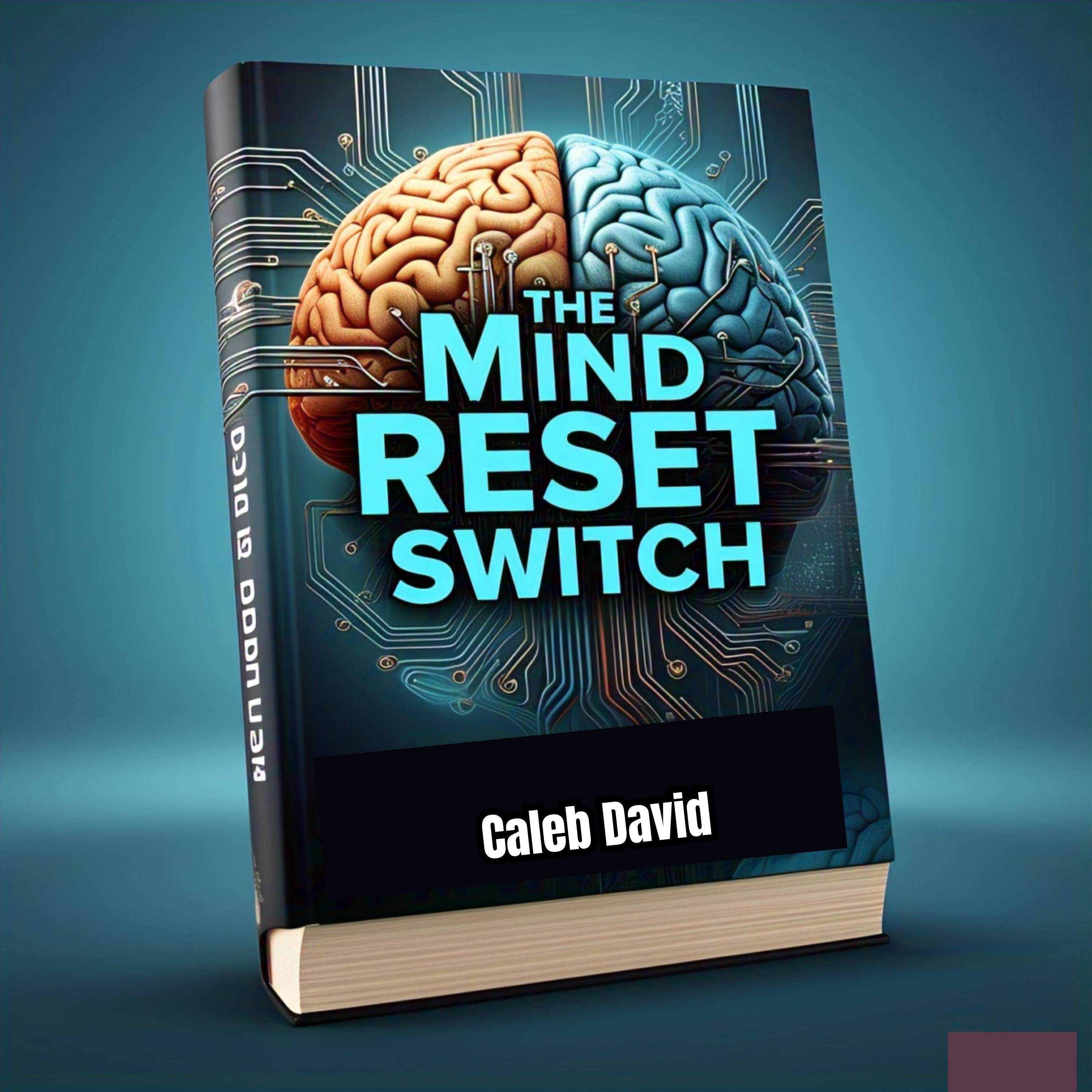 The Mind Reset Switch