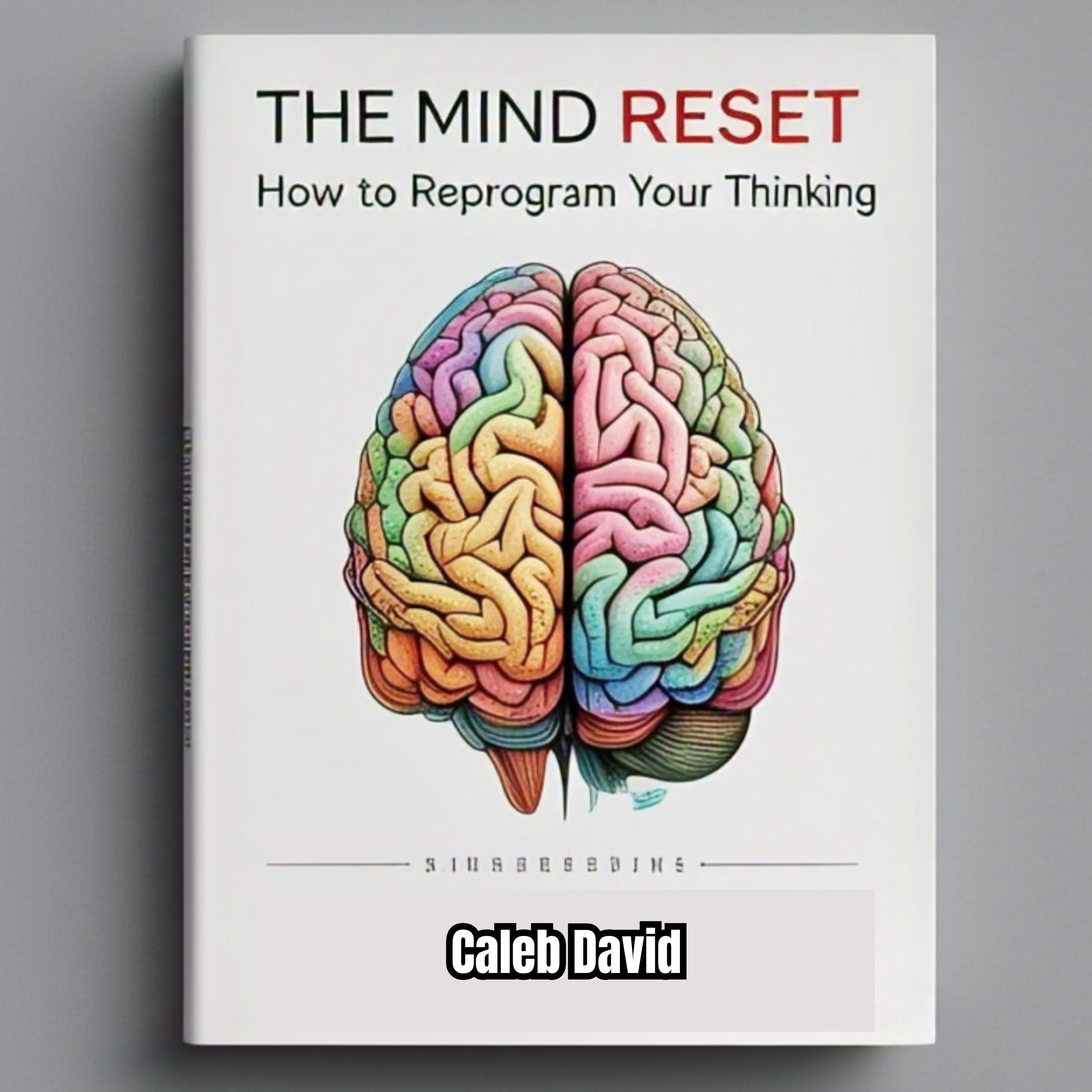 The Mind Reset Manual