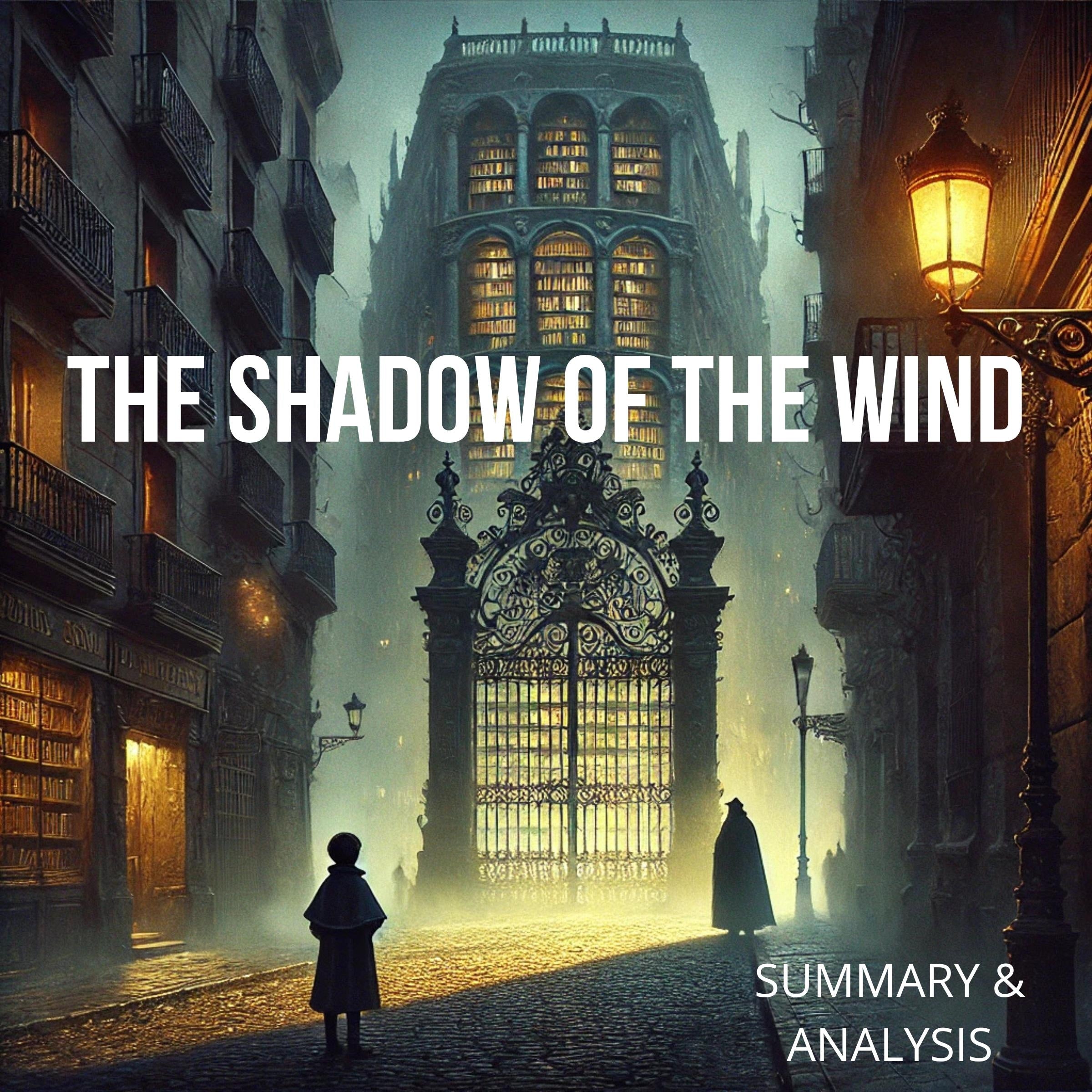 The Shadow of the Wind: Book Summary & Analysis