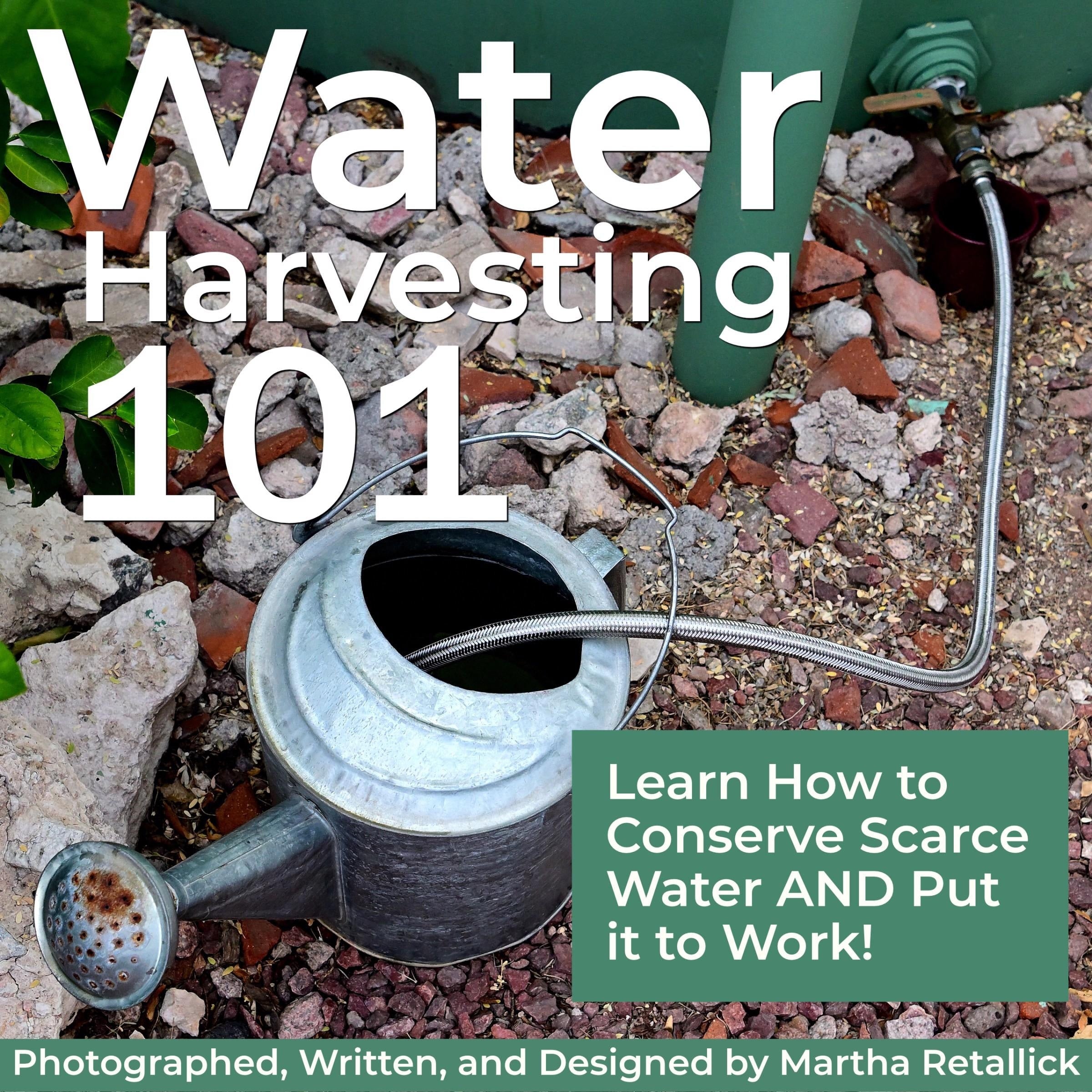 Water Harvesting 101