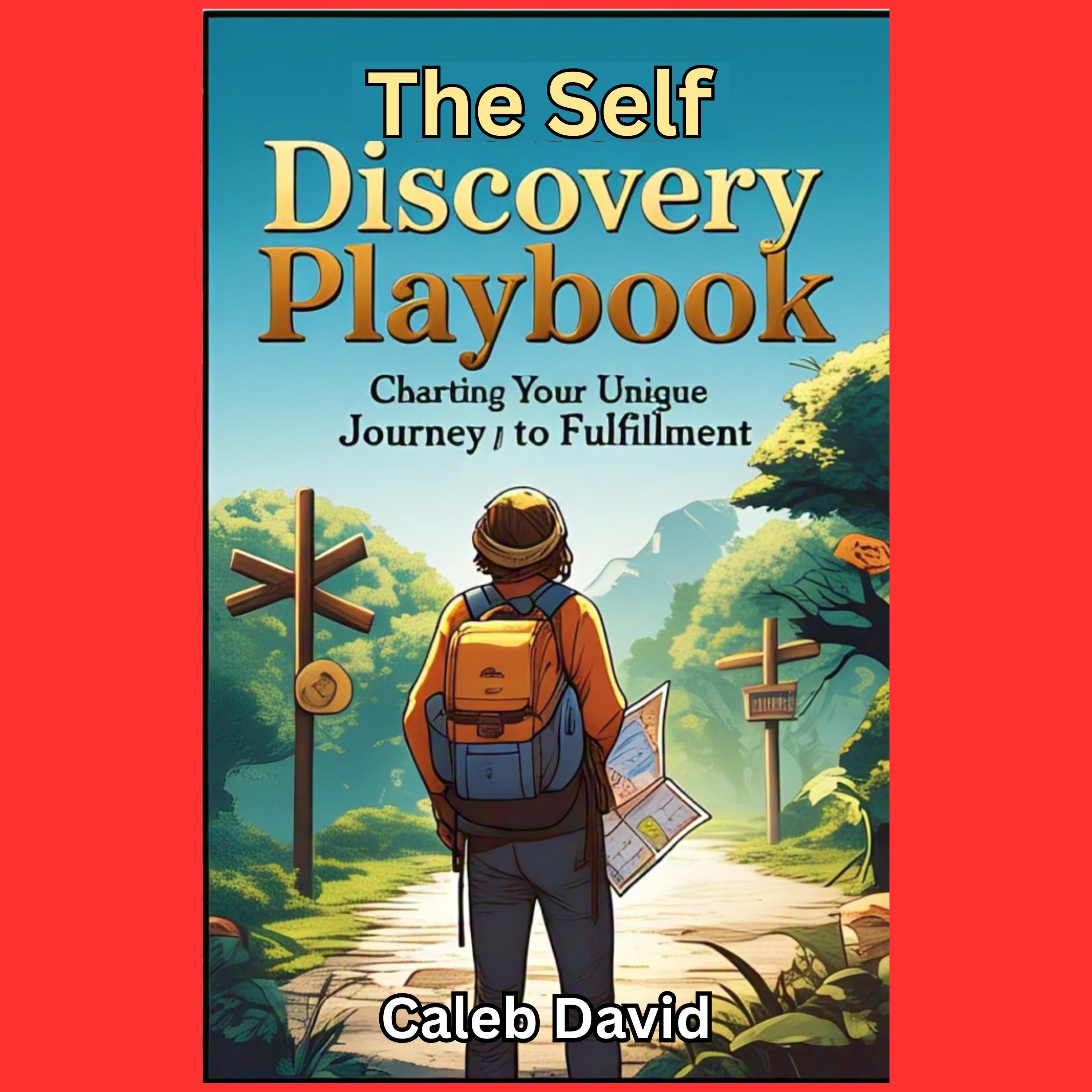 The Self-Discovery Playbook