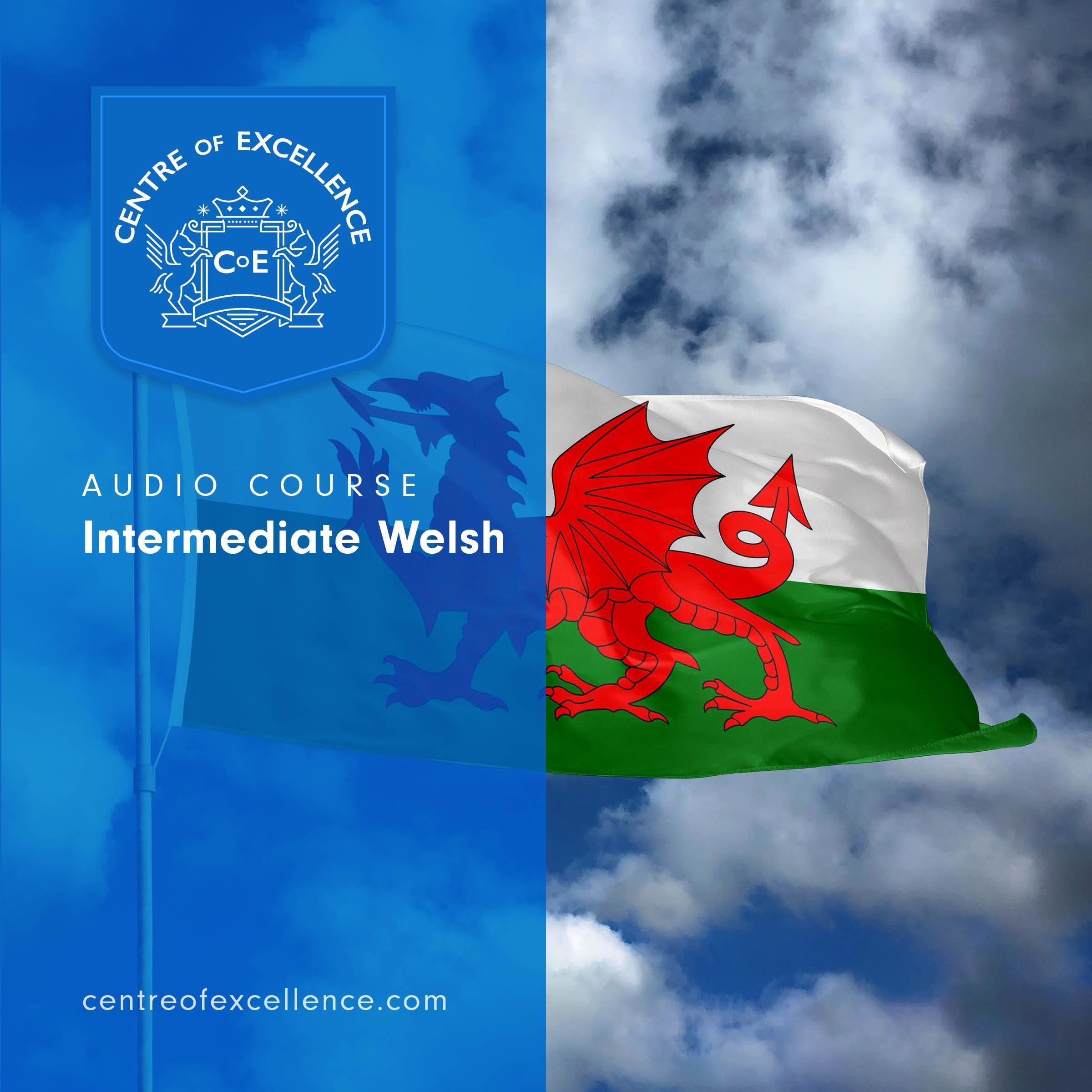 Intermediate Welsh