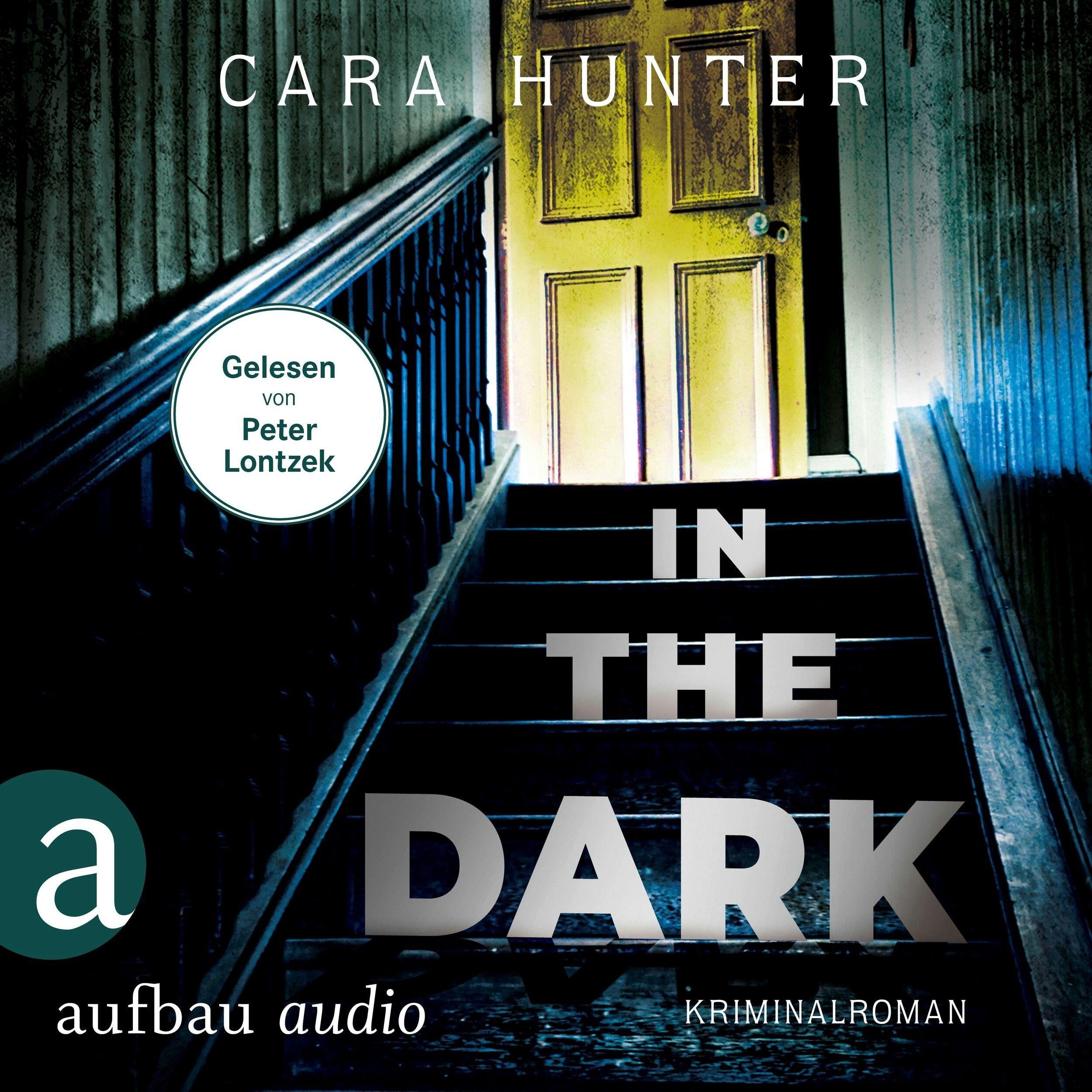 In the Dark - Keiner weiß, wer sie sind - Detective Inspector Fawley ermittelt, Band 2 (Ungekürzt)