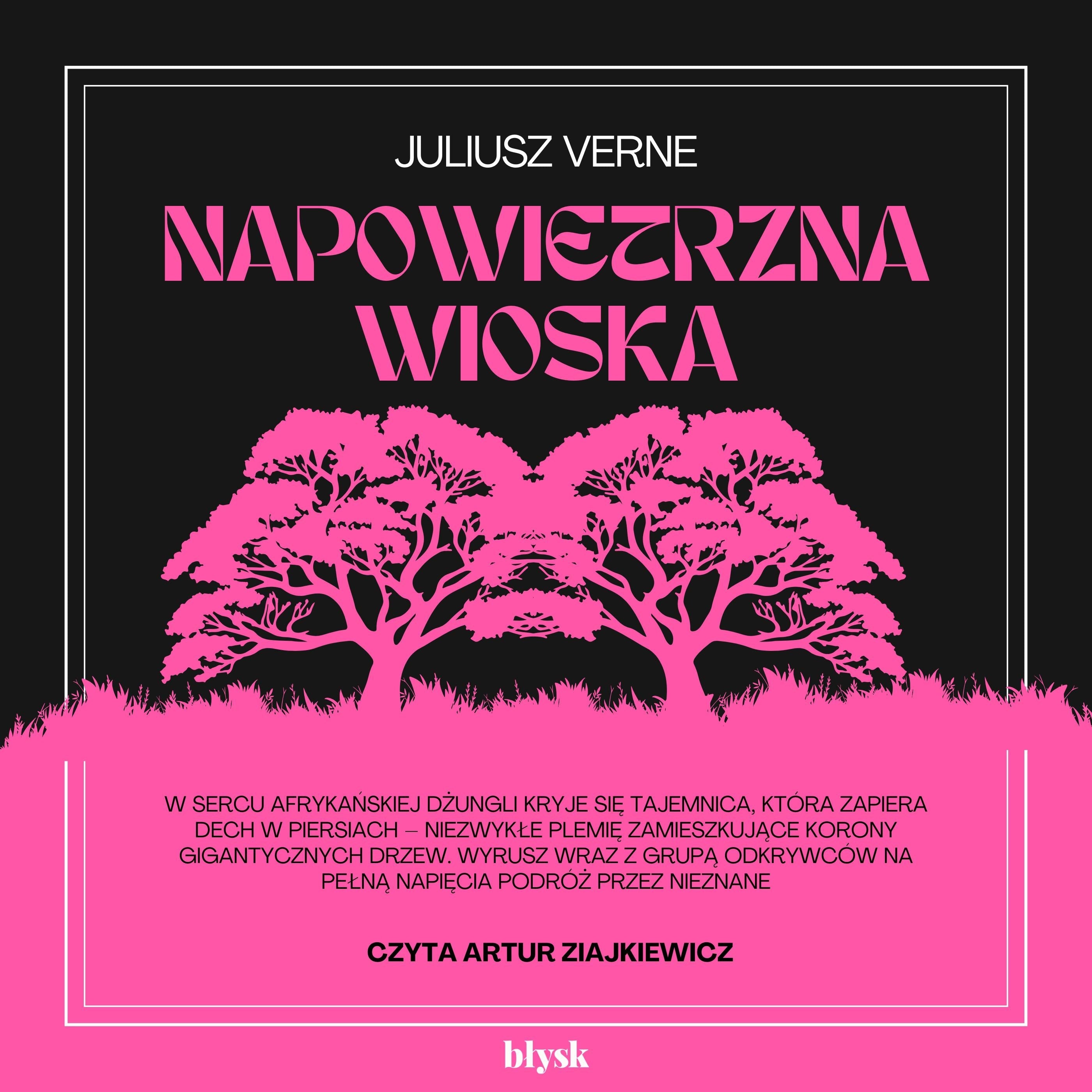 Napowietrzna wioska