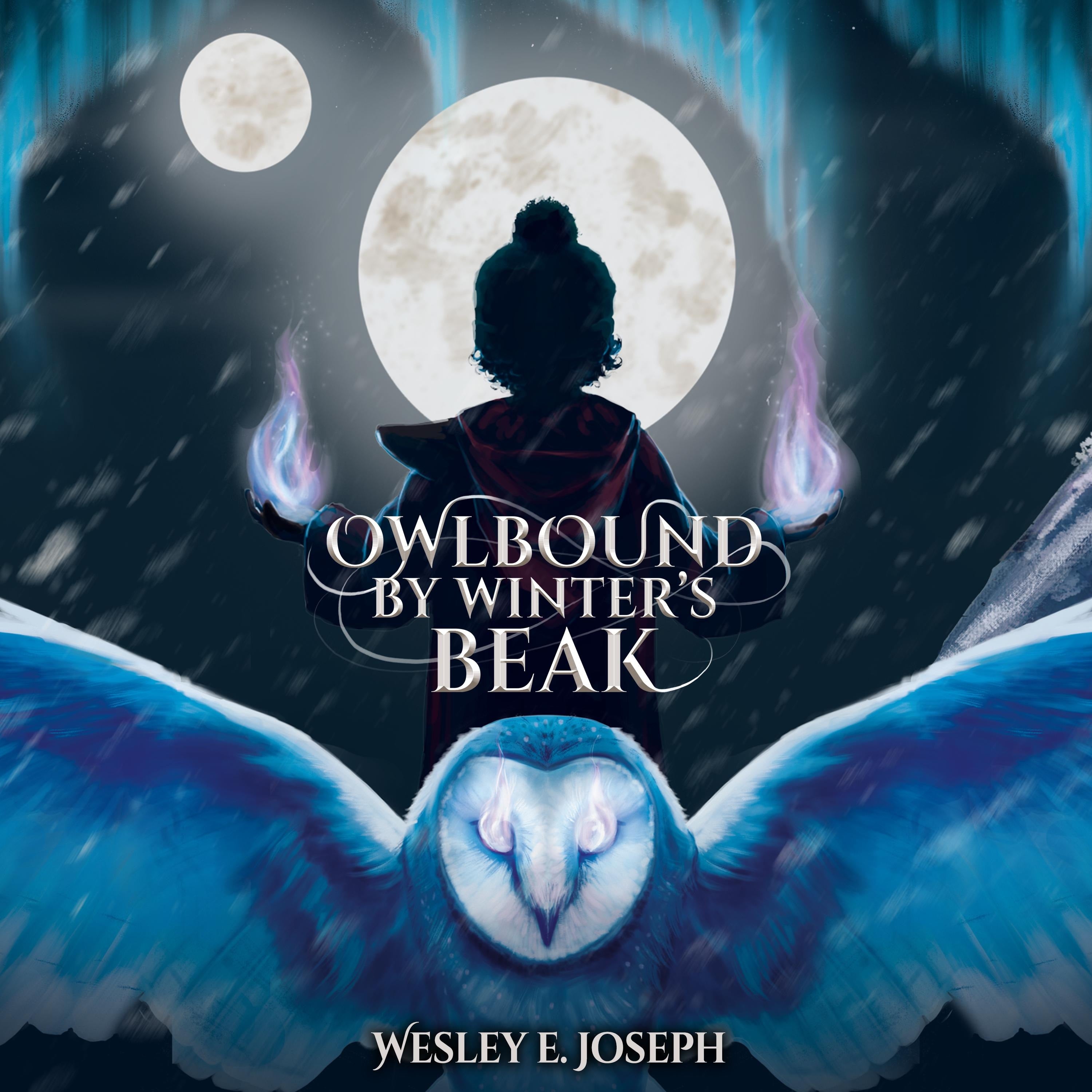 Owlbound by Winter's Beak