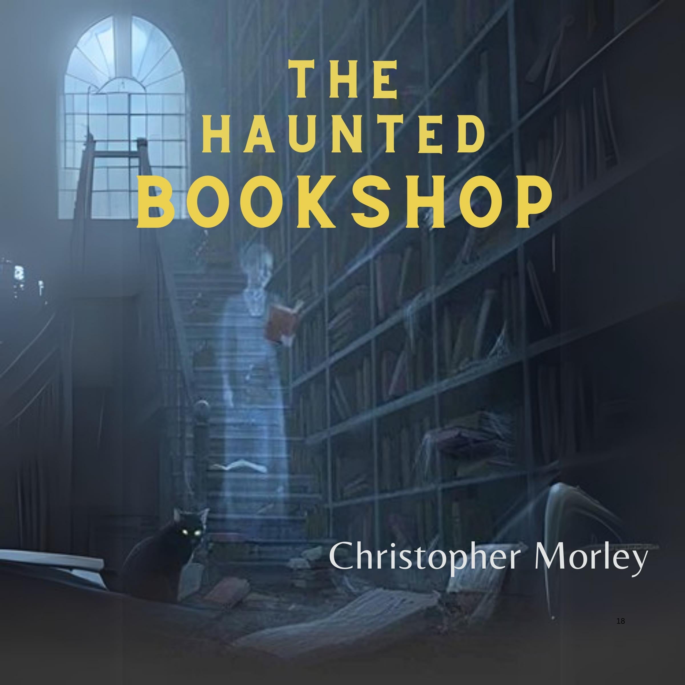 The Haunted Bookshop