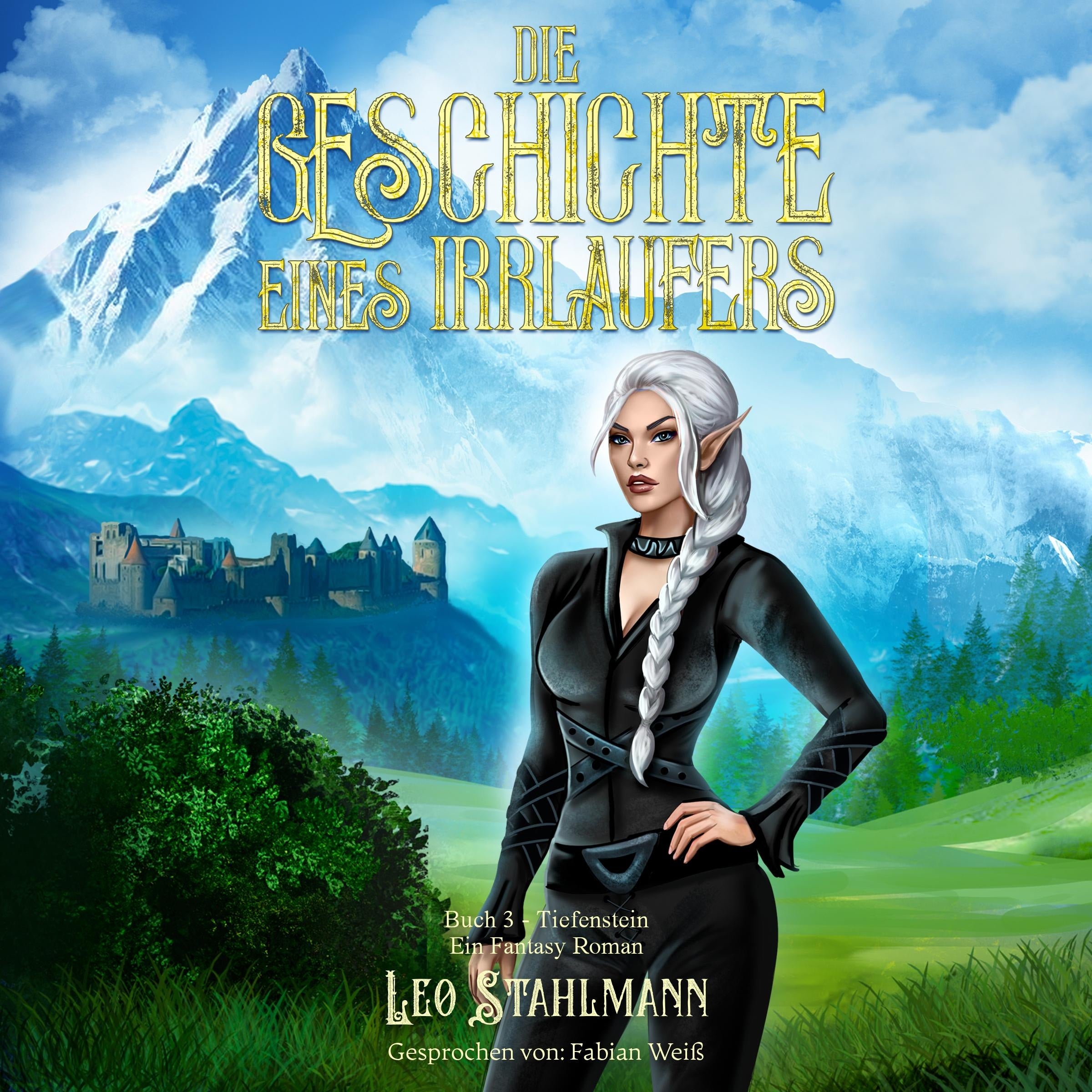 Die Geschichte eines Irrläufers 3