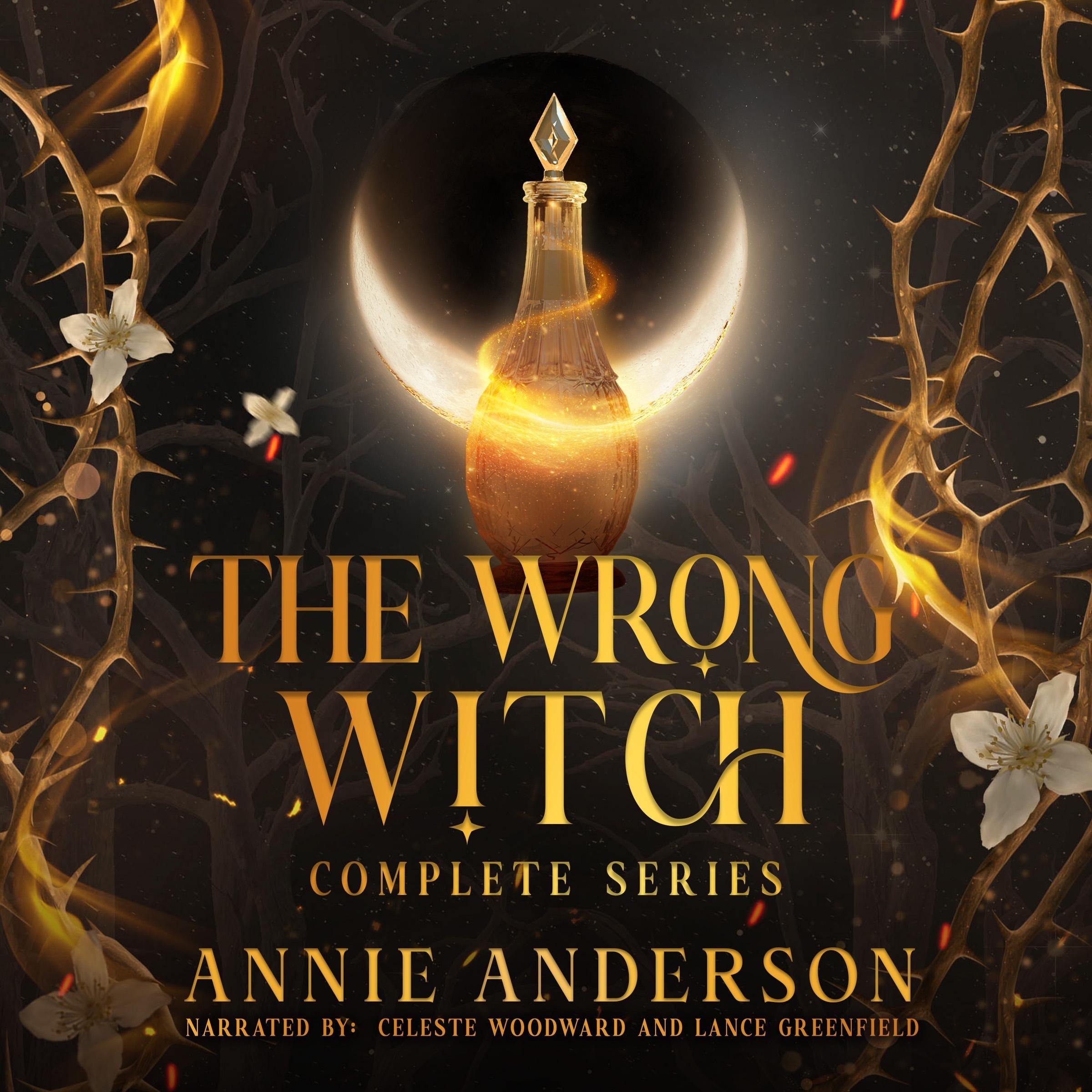 The Wrong Witch Complete Series