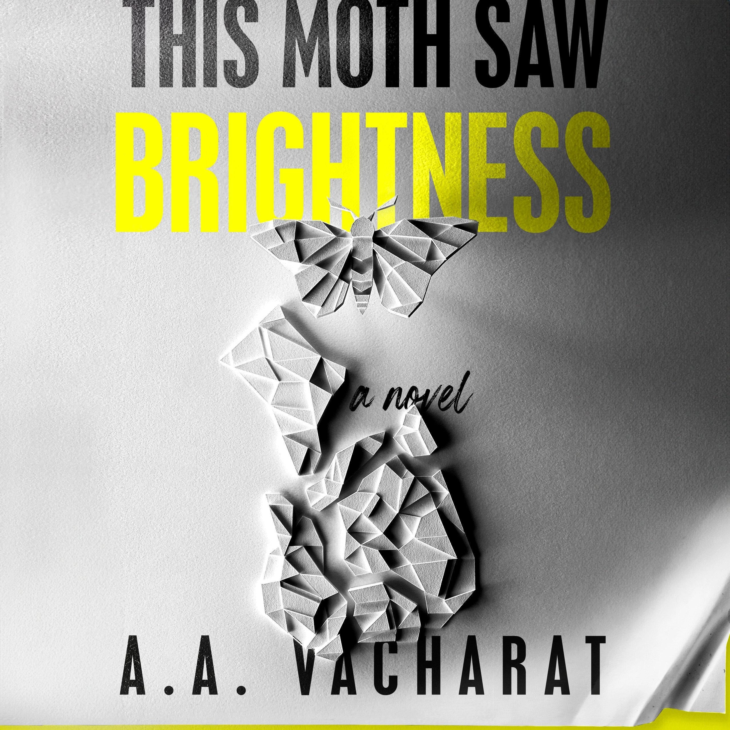 This Moth Saw Brightness