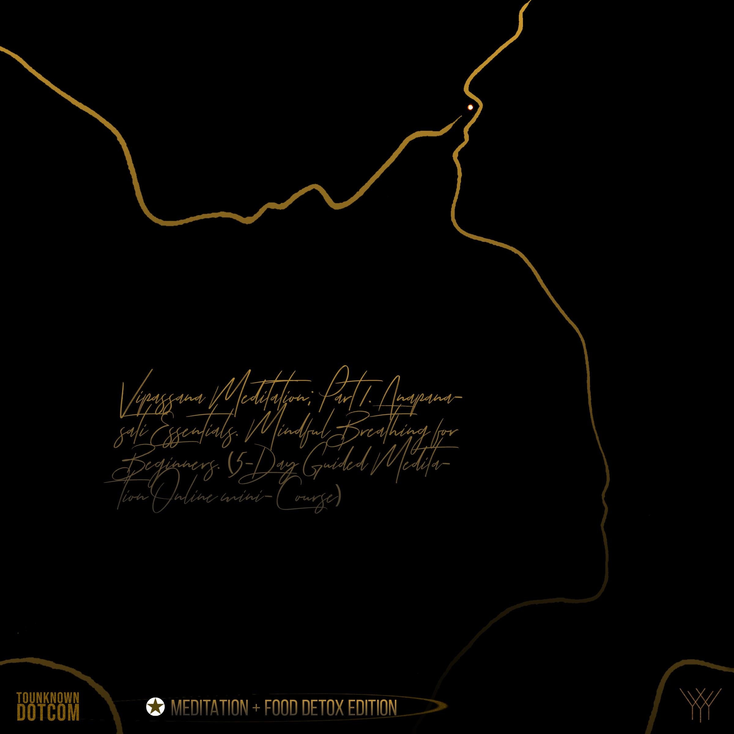 Vipassana Meditation Part 1: Anapanasati Essentials